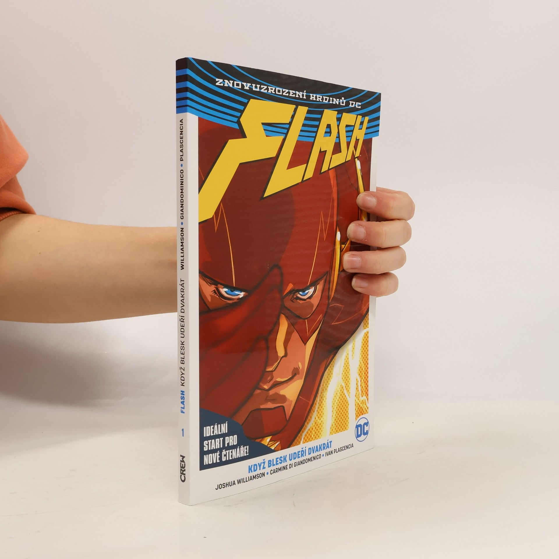 Flash. Kniha první: Když blesk udeří dvakrát