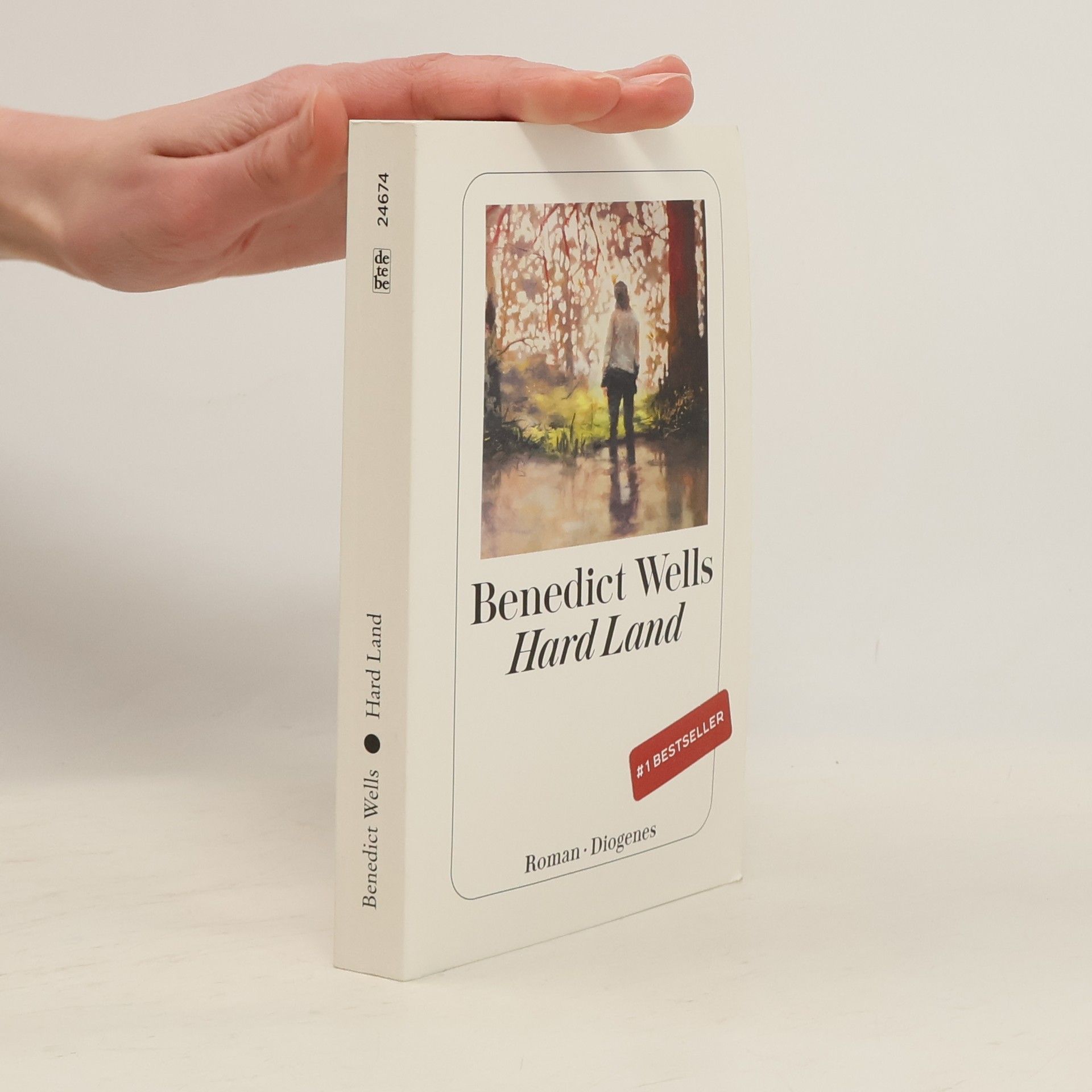 Benedict Wells Hard Land