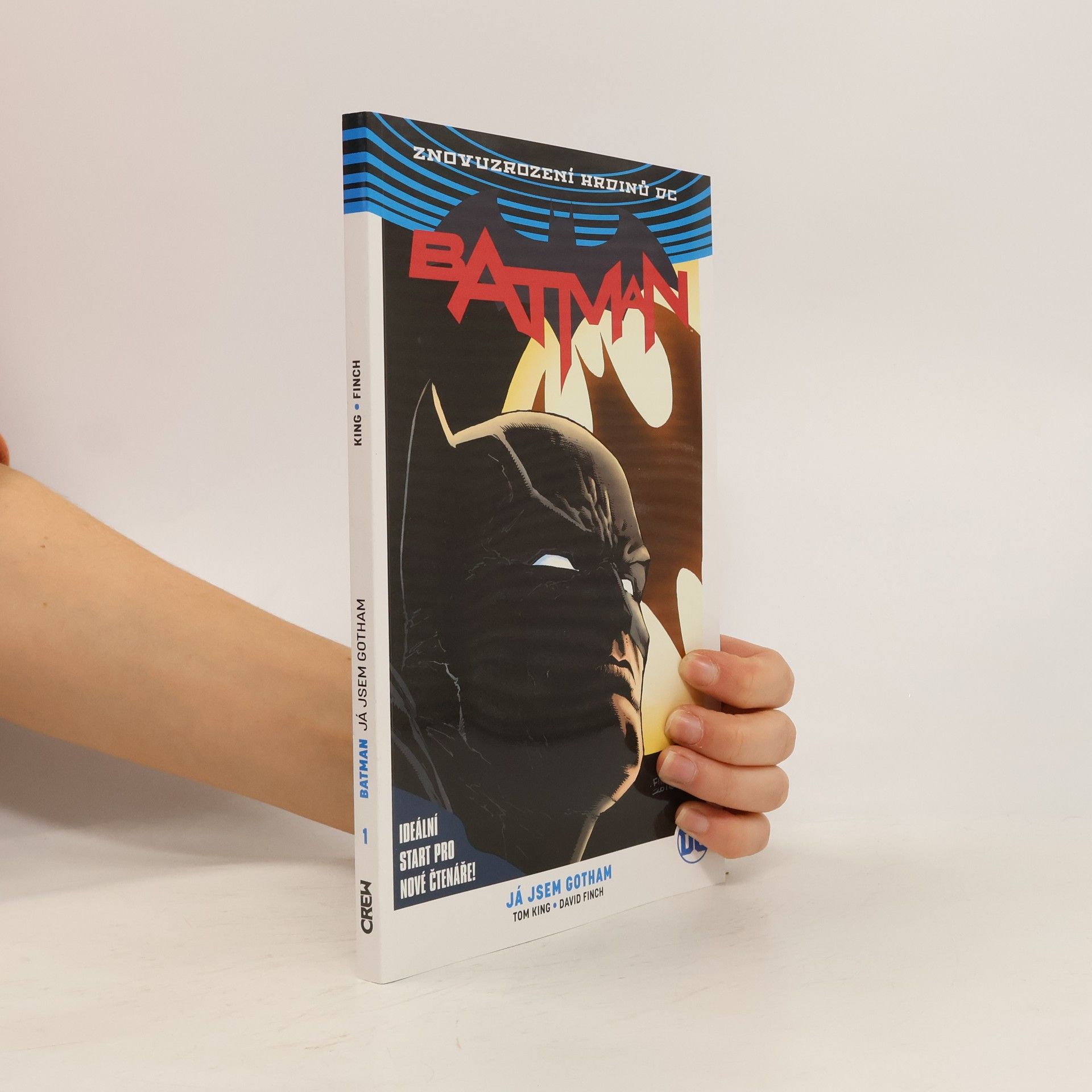 Tom King Batman. 1. díl, Já jsem Gotham