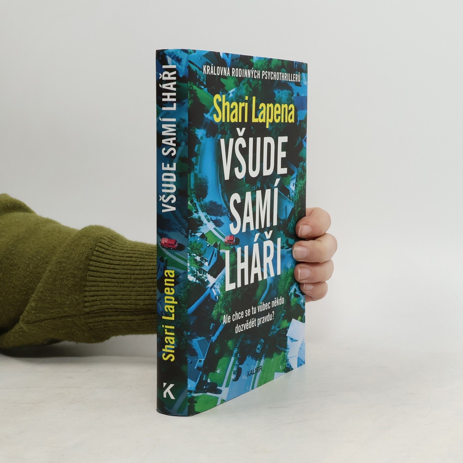 Shari Lapena Všude samí lháři