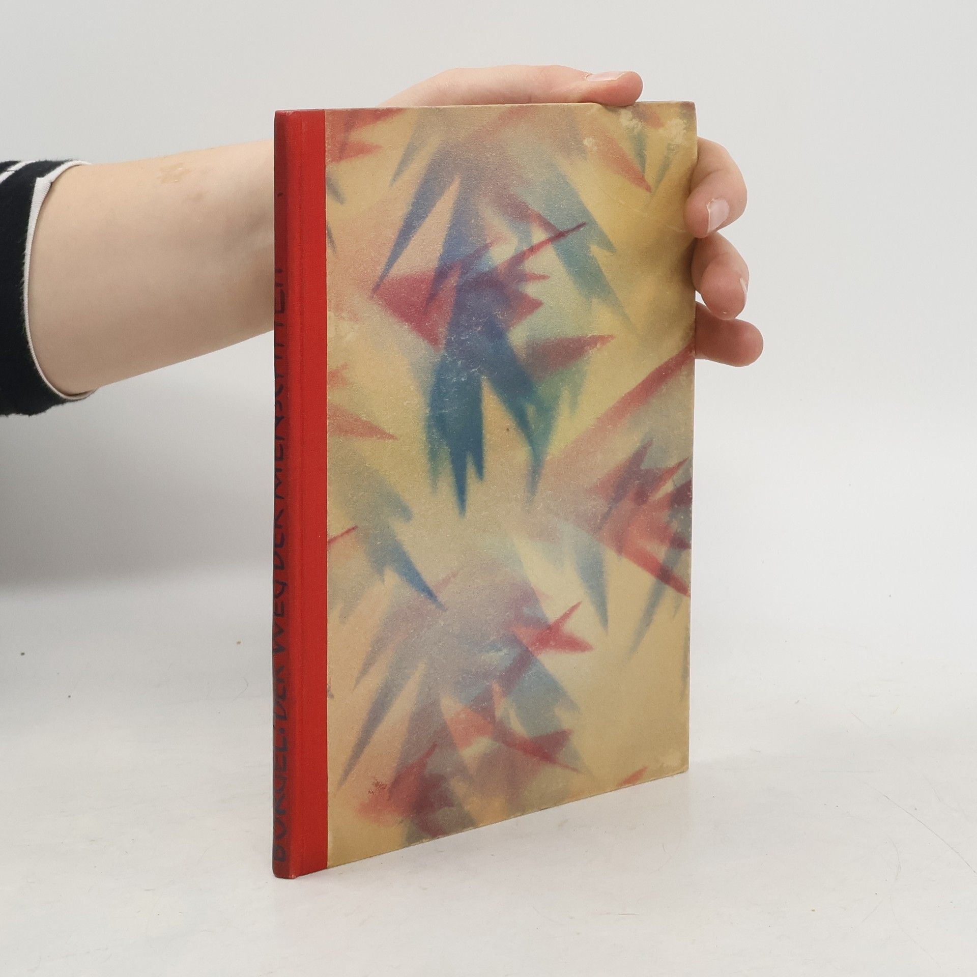 Bruno H. Bürgel Der Weg der Menschheit