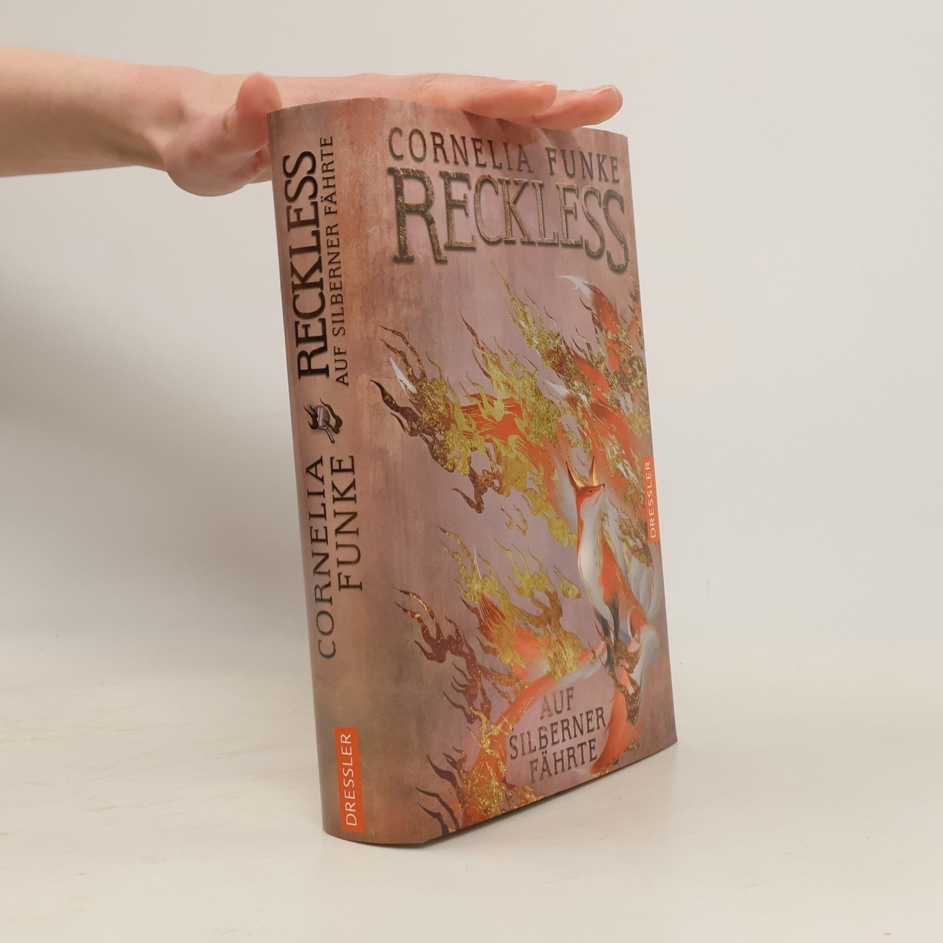 Cornelia Funke Reckless 4. Auf silberner Fährte