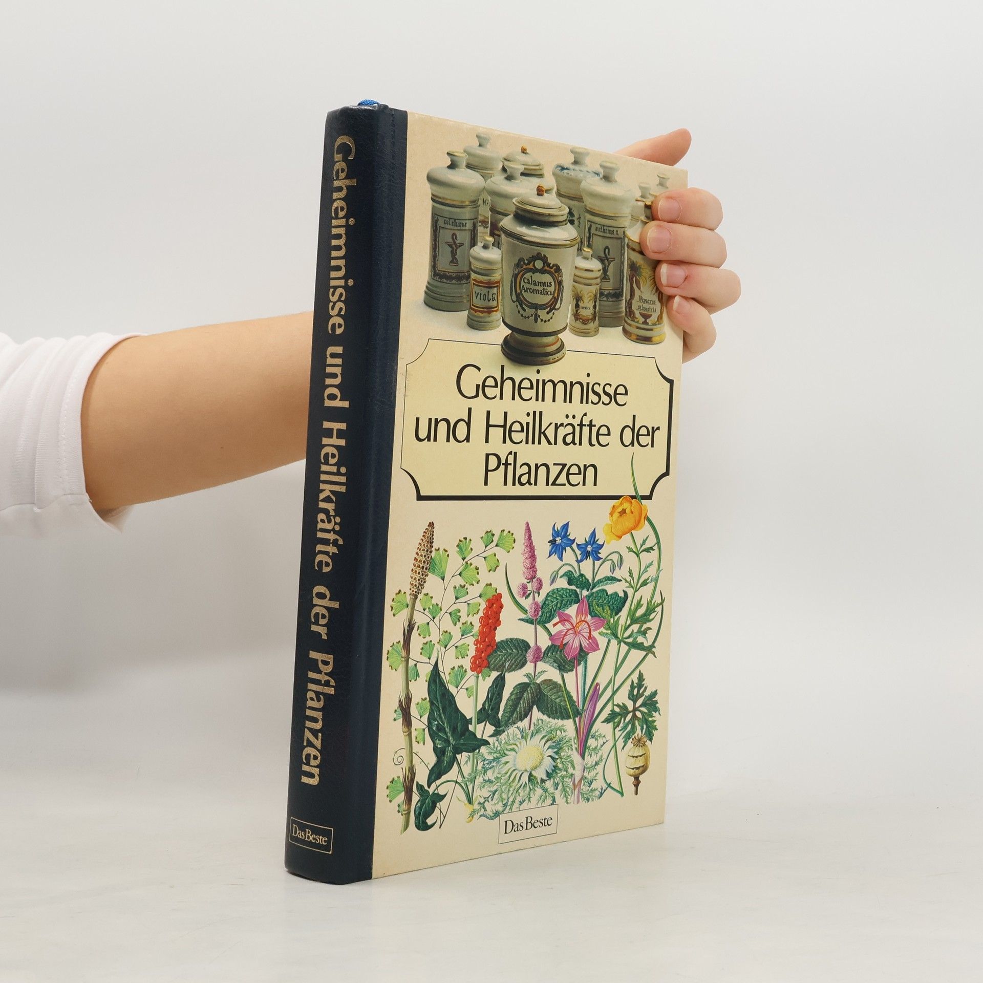 Kolektív autorov Geheimisse und Heilkräfte der Pflanzen