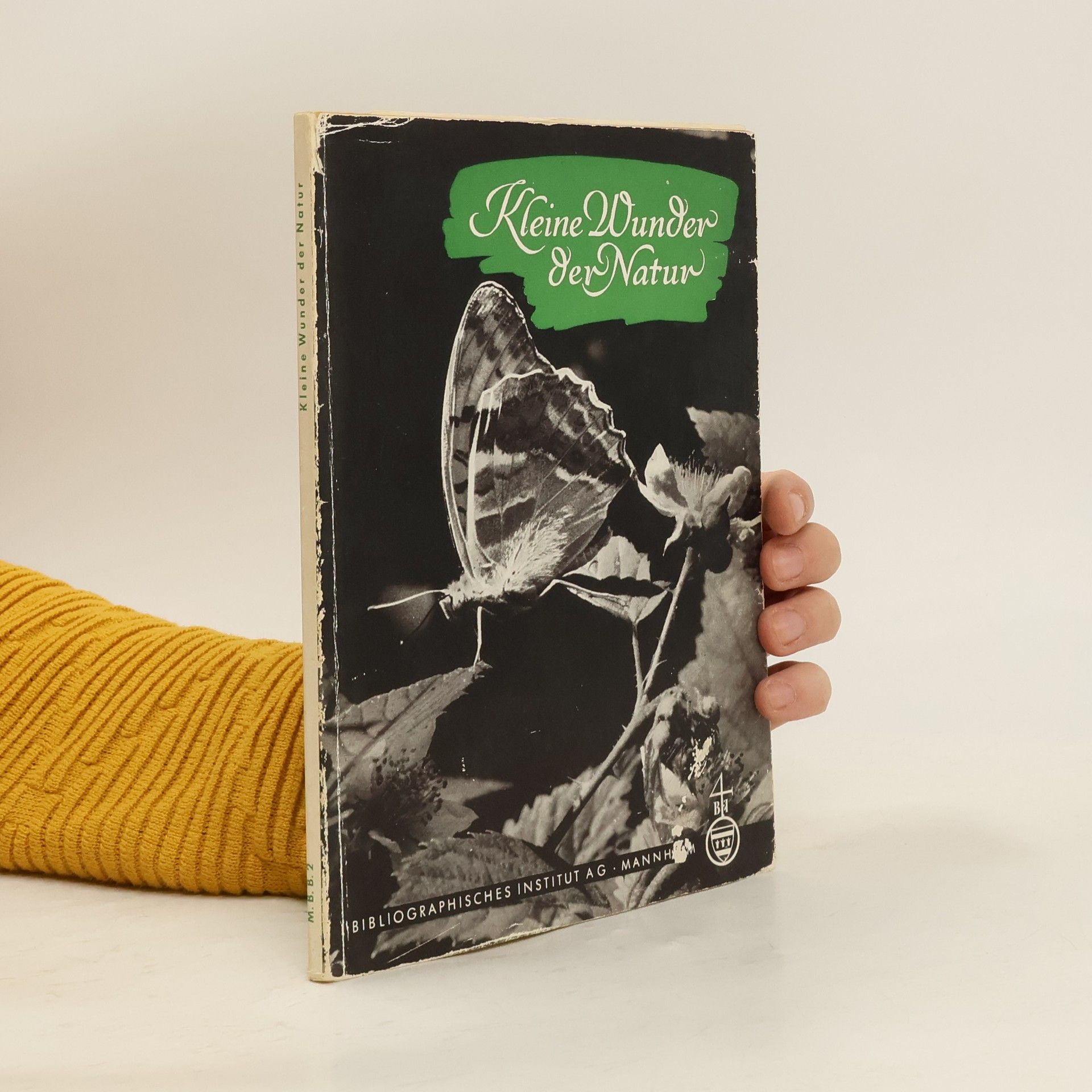 Autores varios Kleine Wunder der Natur