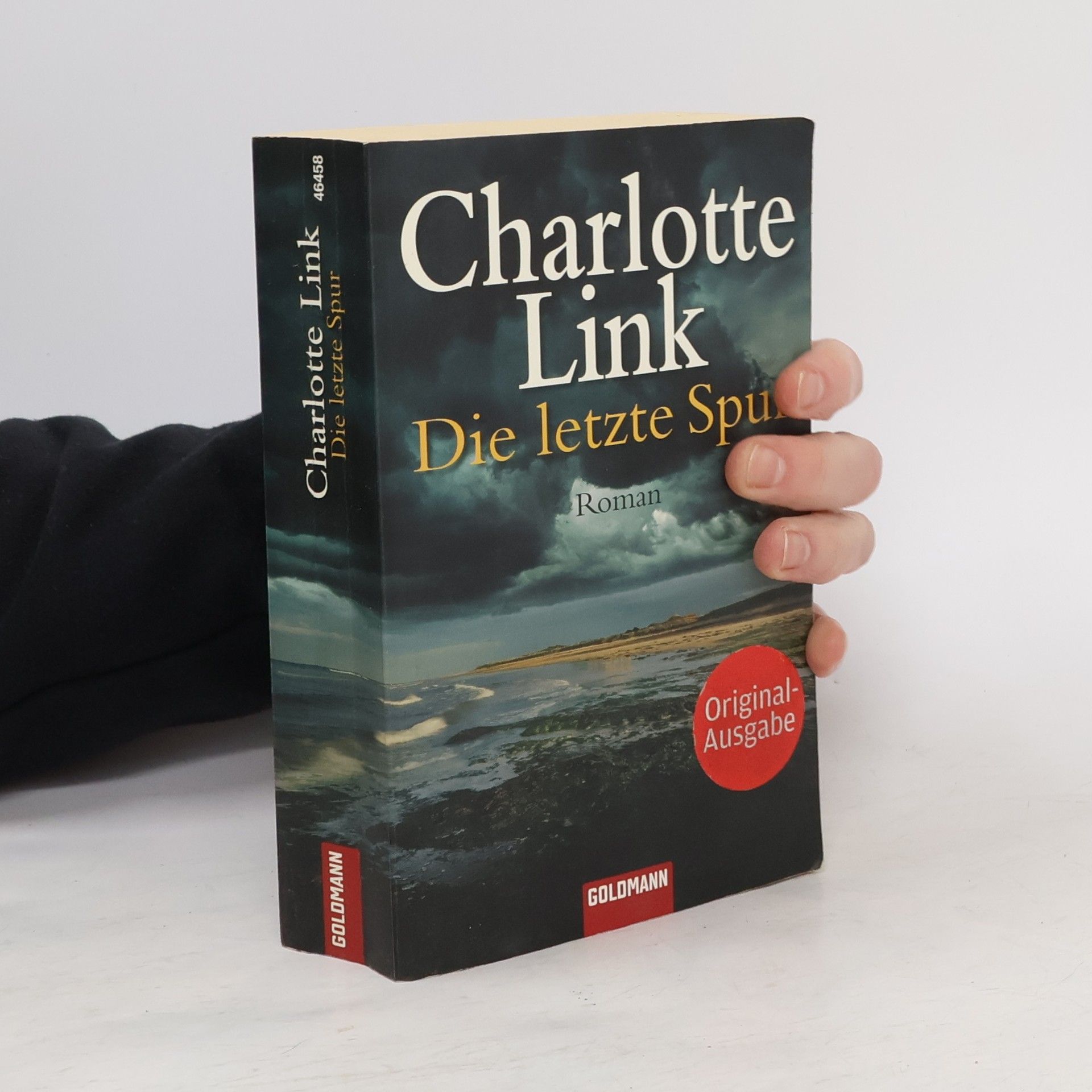 Charlotte Link Die letzte Spur