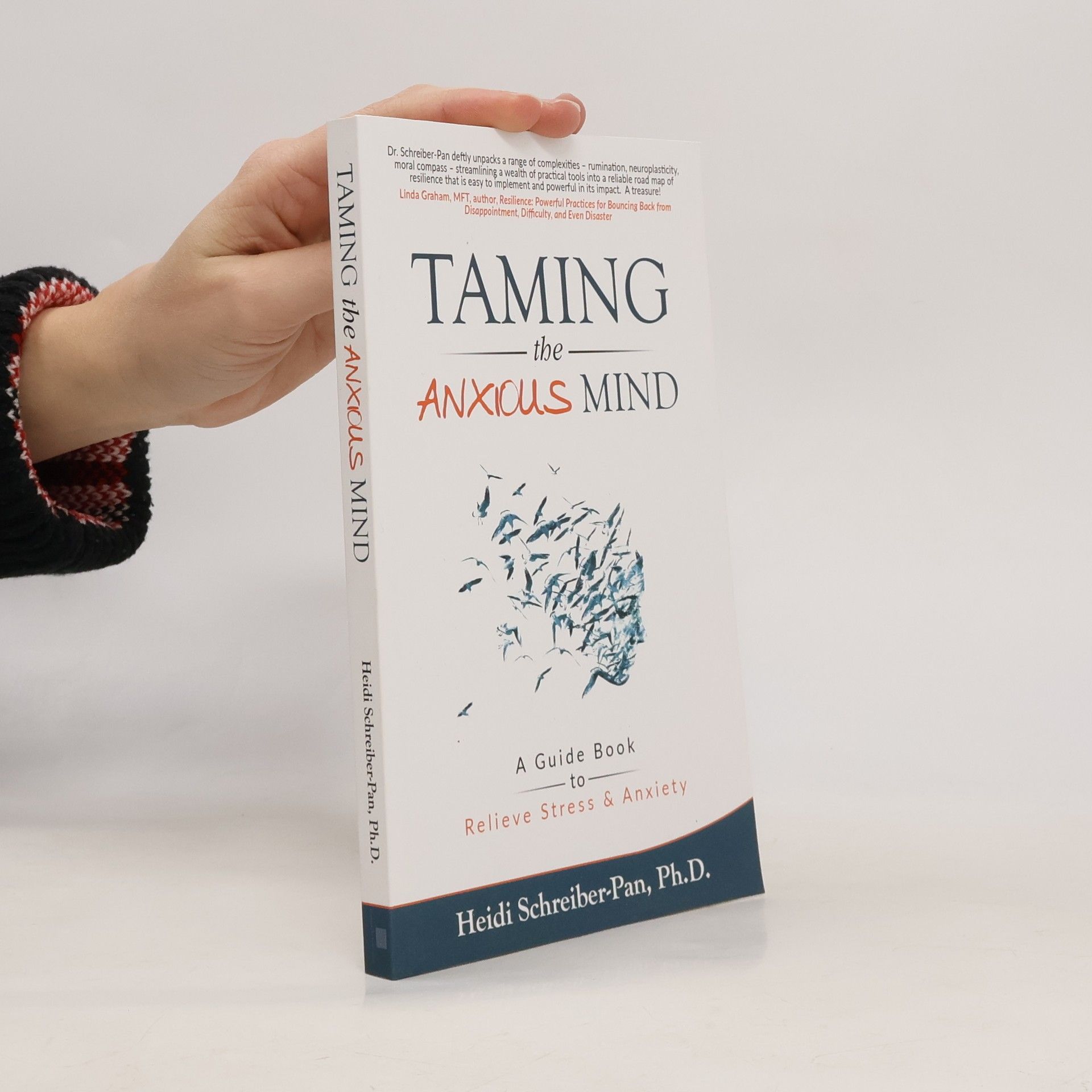 Heidi Schreiber-Pan Taming the Anxious Mind