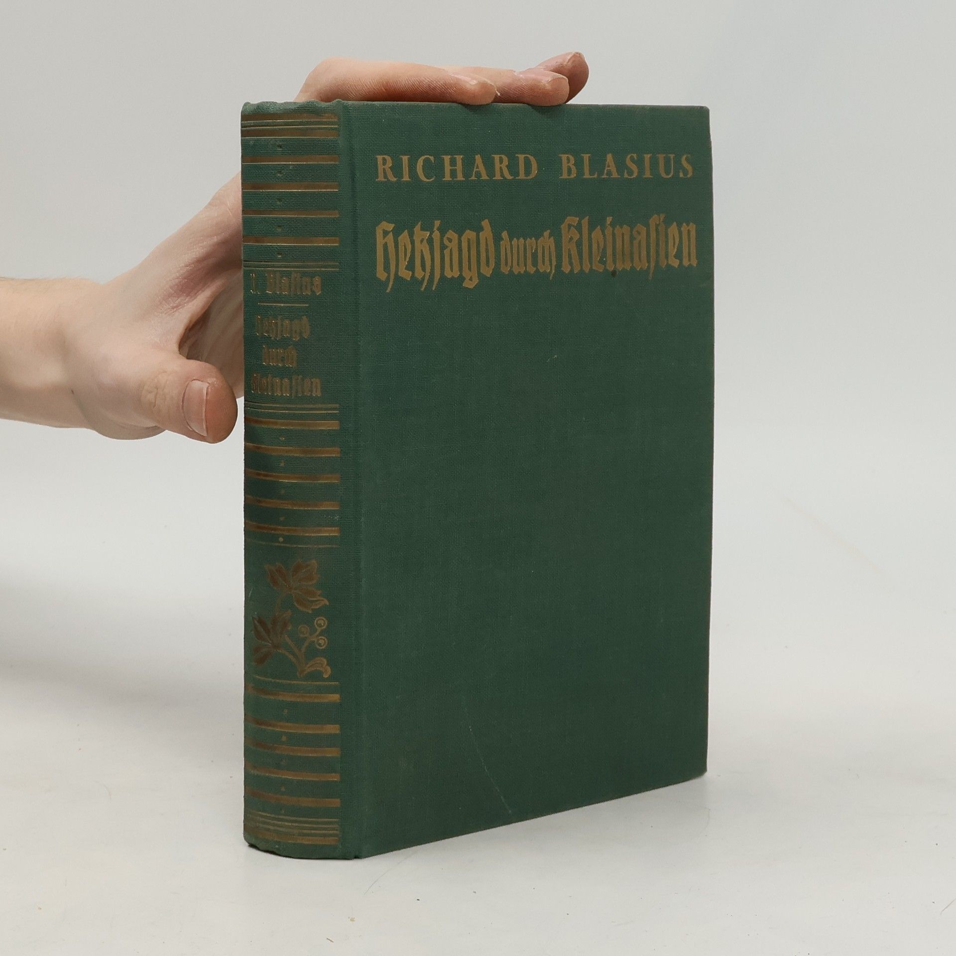 Richard Blasius Hetzjagd durch Kleinasien