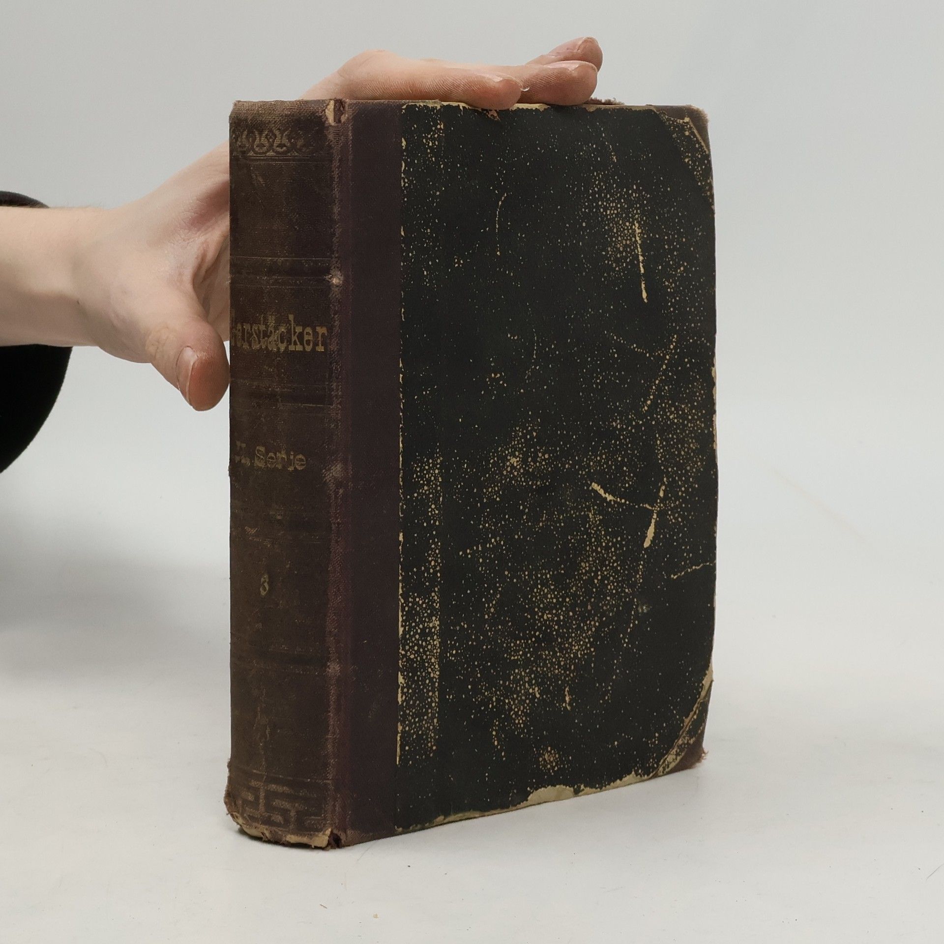 Friedrich Gerstäcker Sennor Aguila