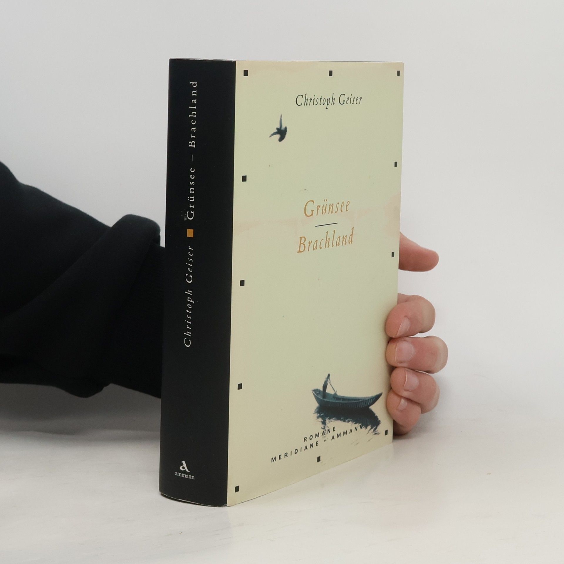 Christoph Geiser Grünsee - Brachland