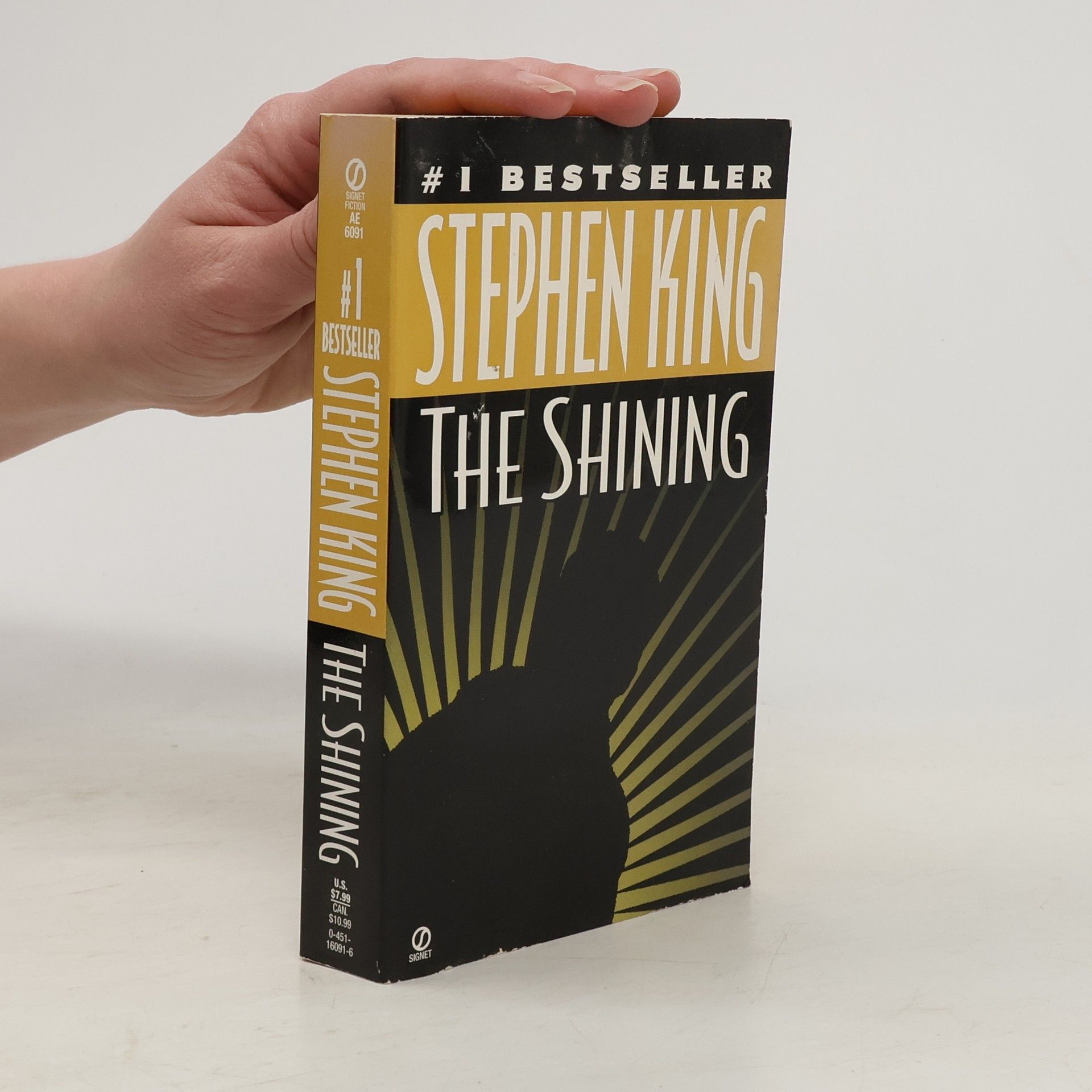 Stephen King The Shining