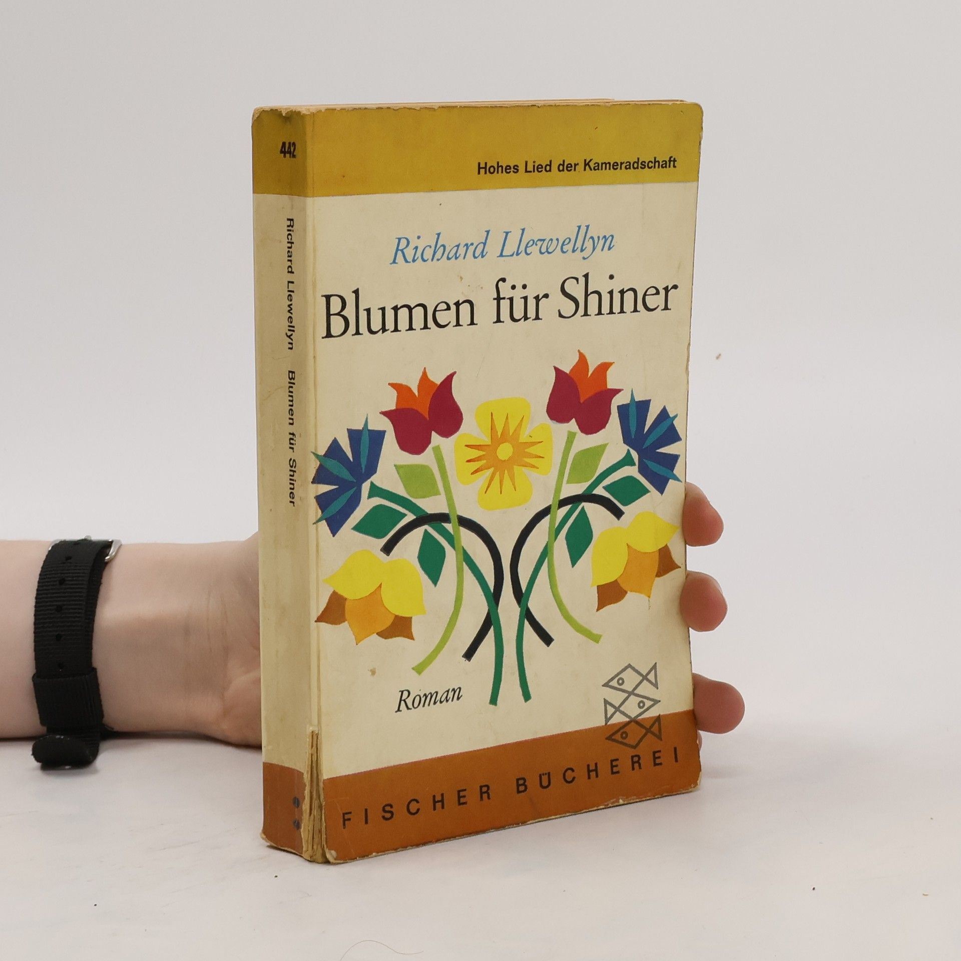 Richard Llewellyn Blumen für Shiner