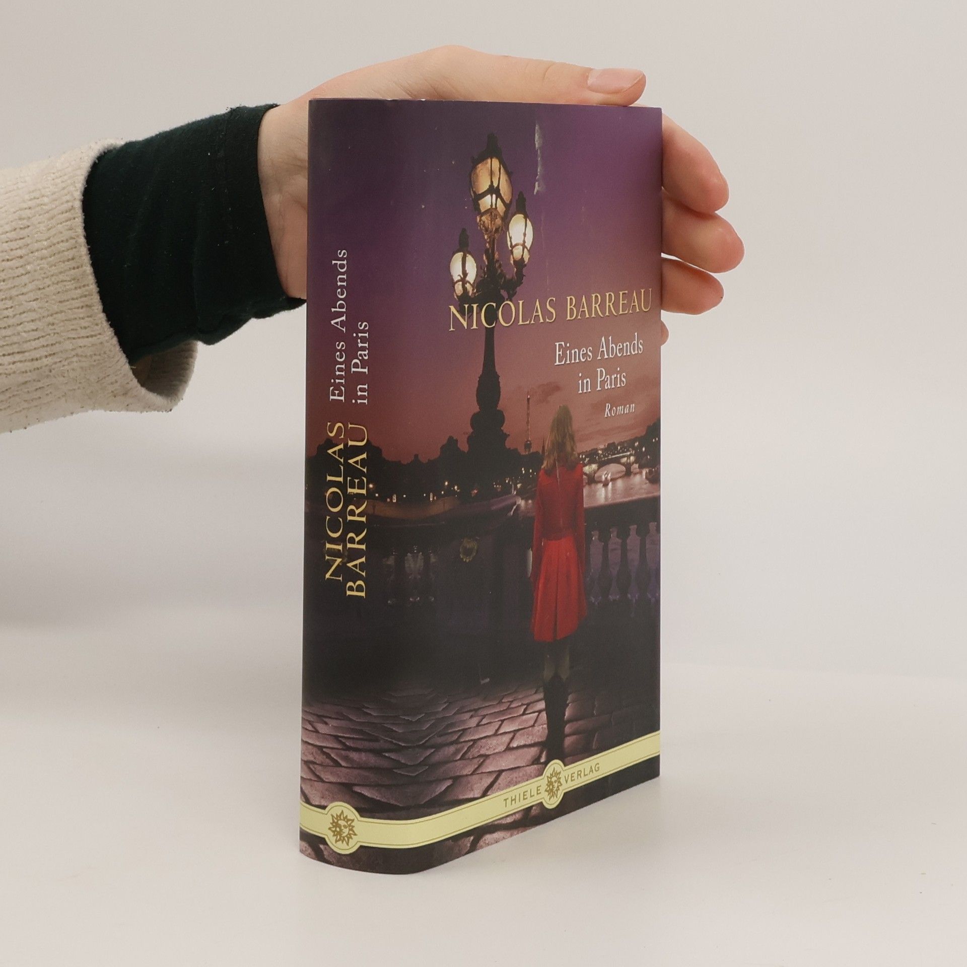 Nicolas Barreau Eines Abends in Paris