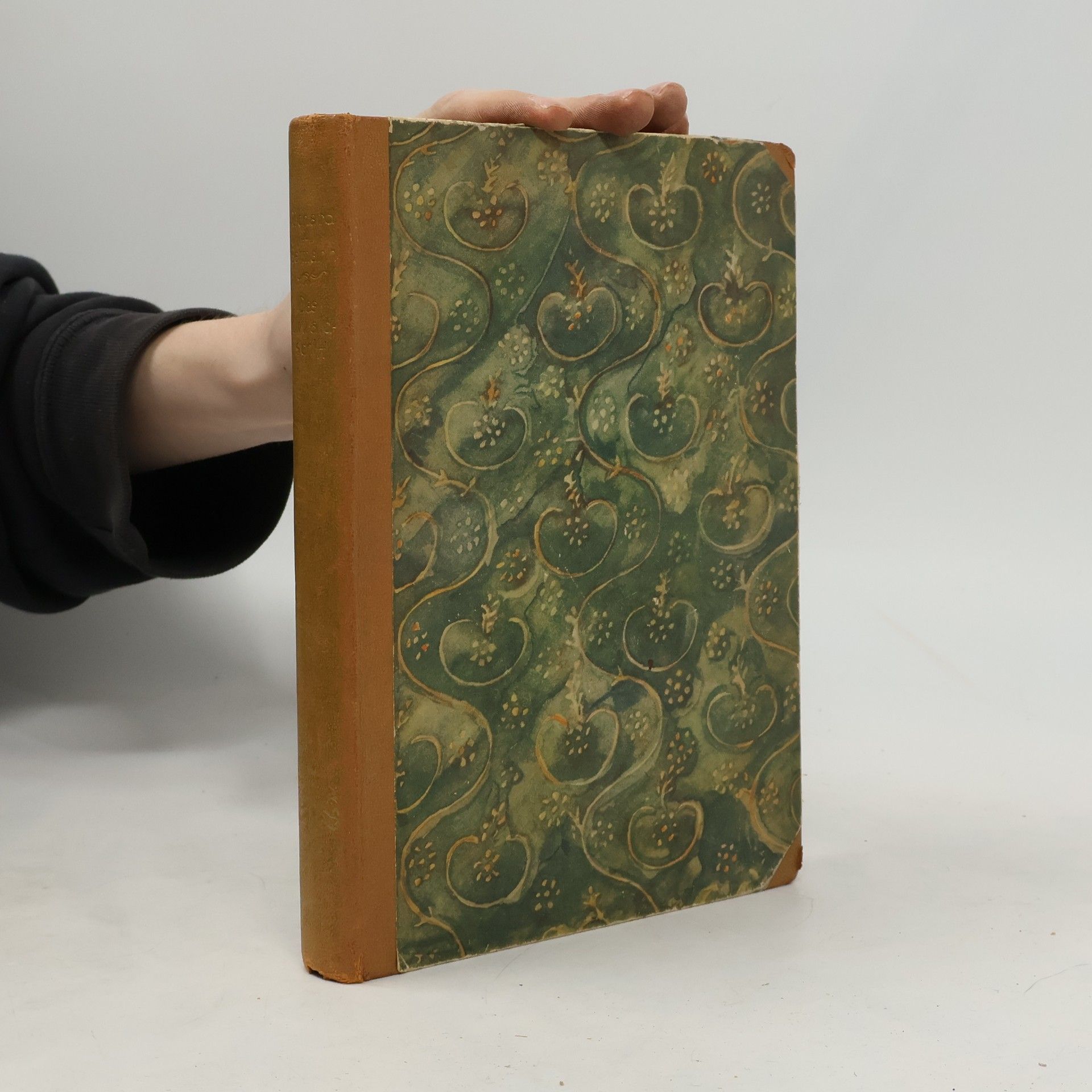 Richard A. Bermann Das Urwaldschiff