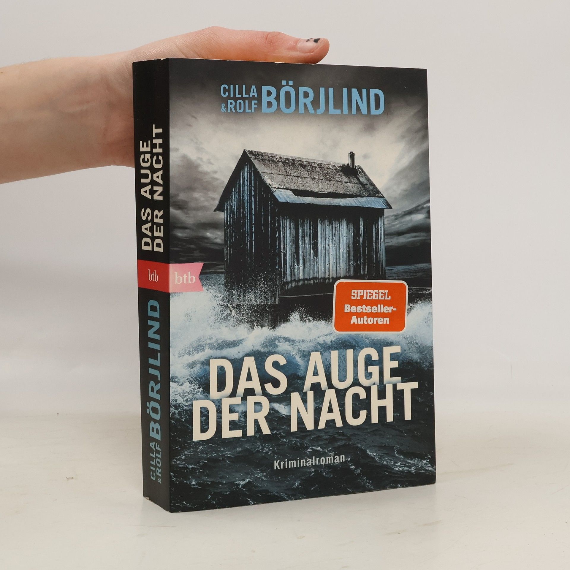 Rolf Börjlind Das Auge der Nacht