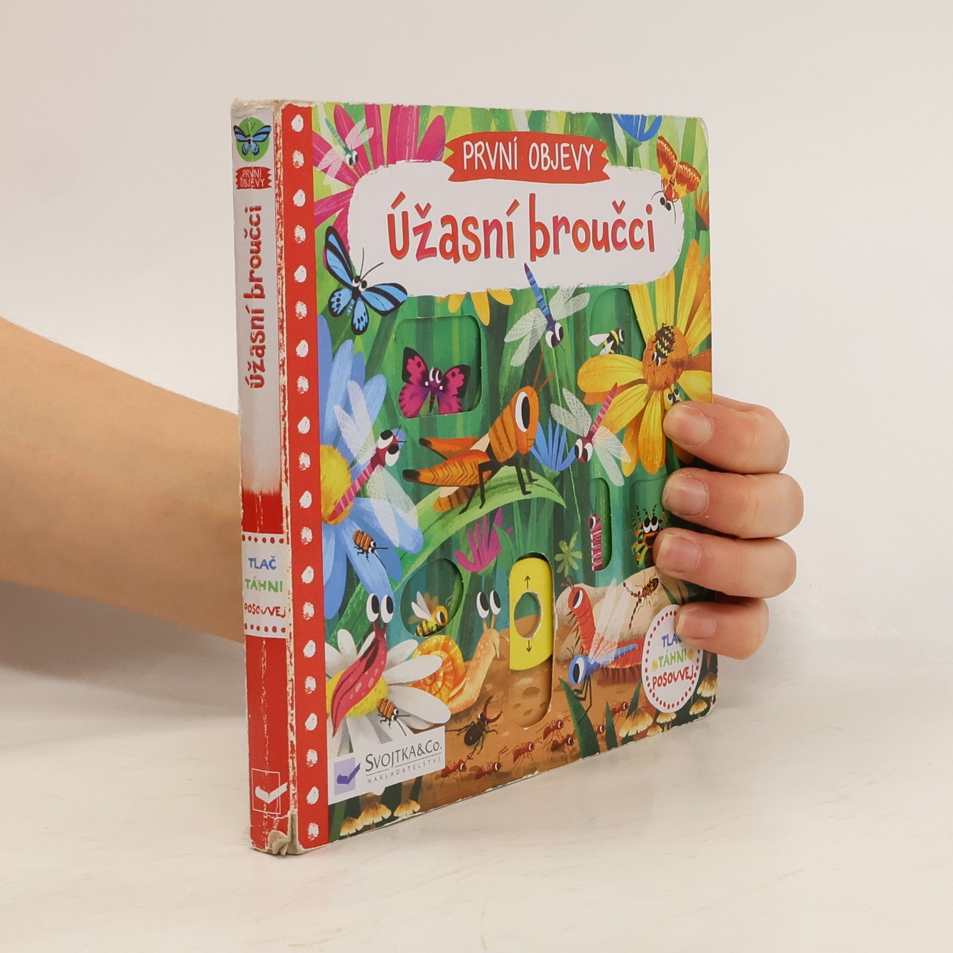 Jenny Wren První objevy: Úžasní broučci