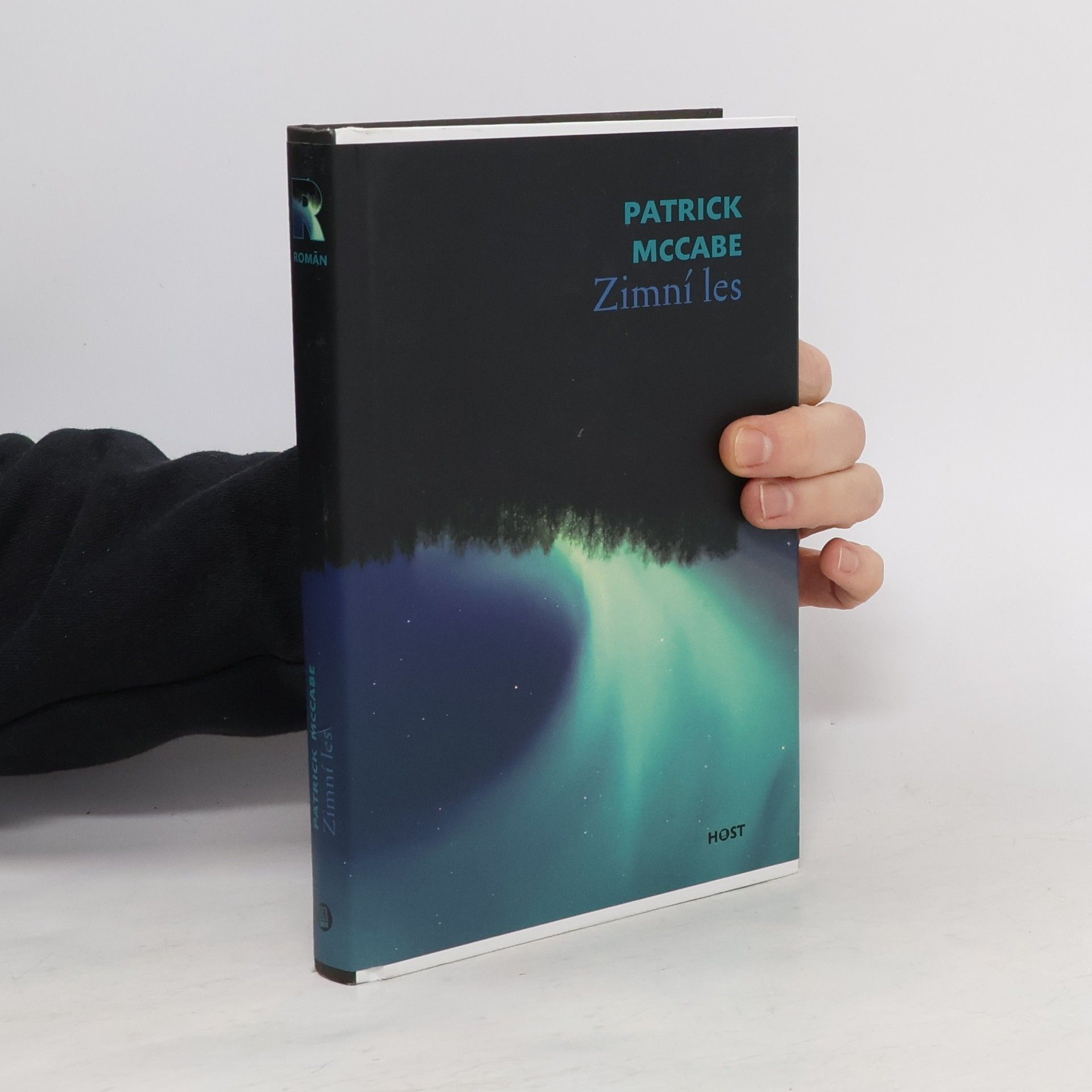 Patrick McCabe Zimní les