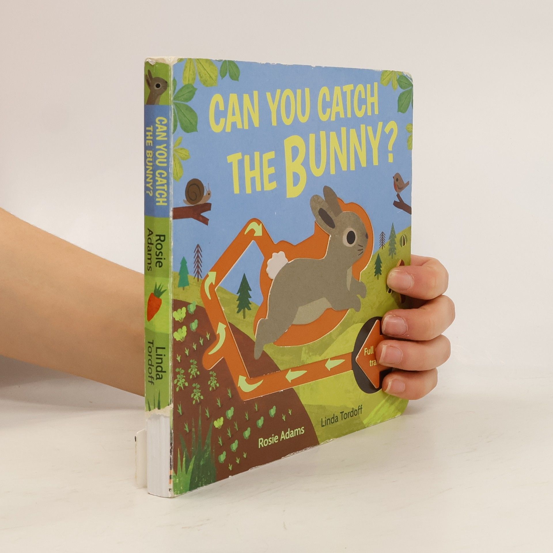 Can You Catch the Bunny?
