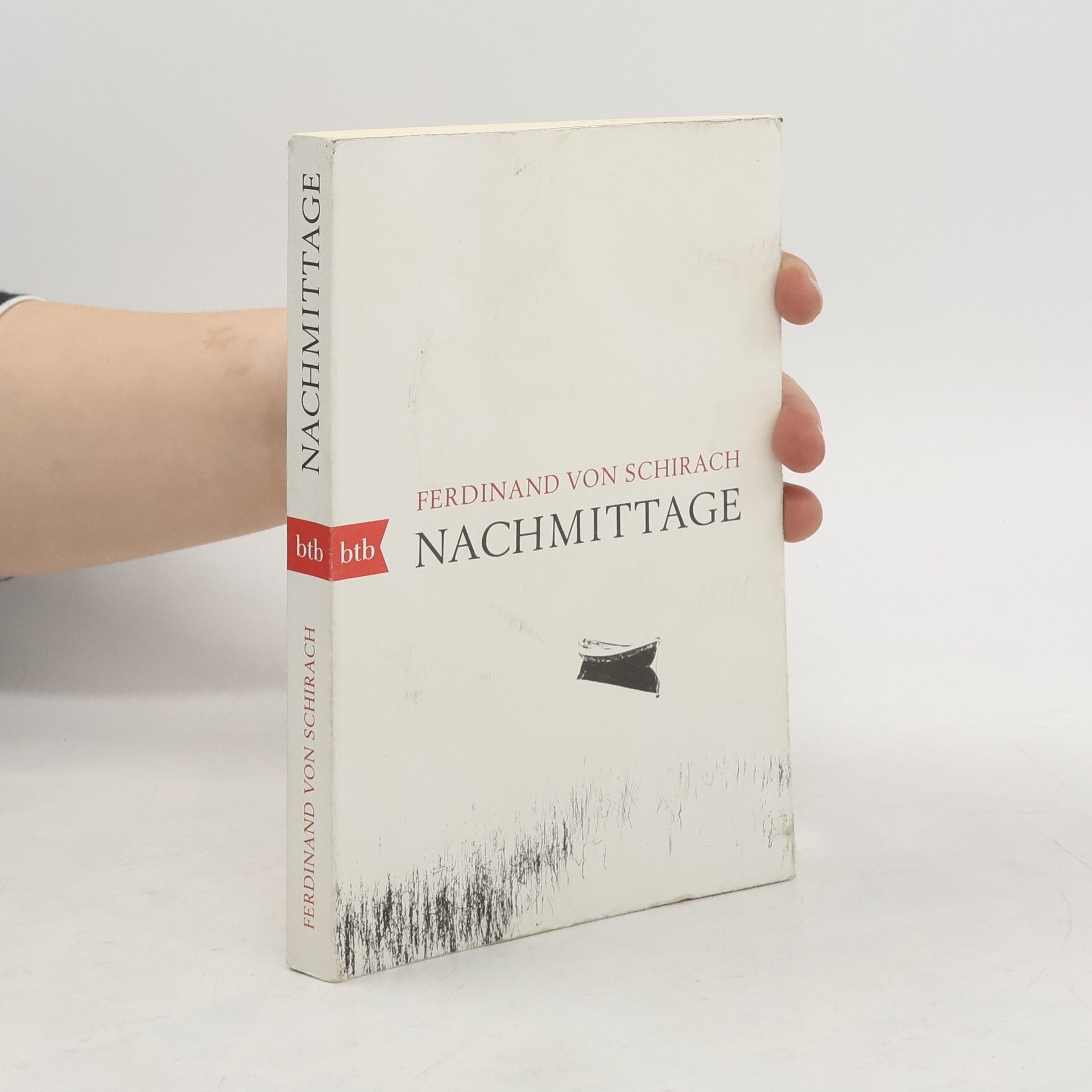 Ferdinand von Schirach Nachmittage