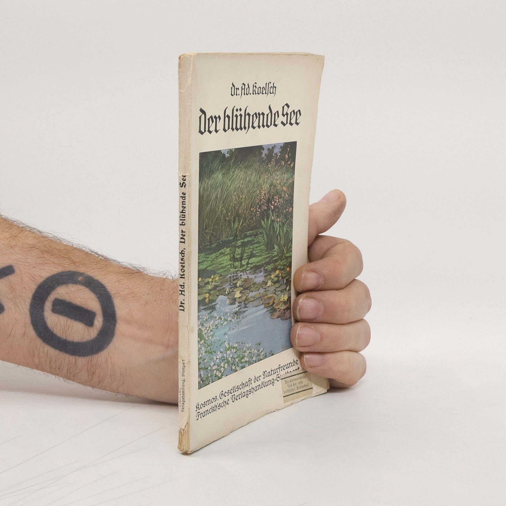 Adolf Koelsch Der Blühende See