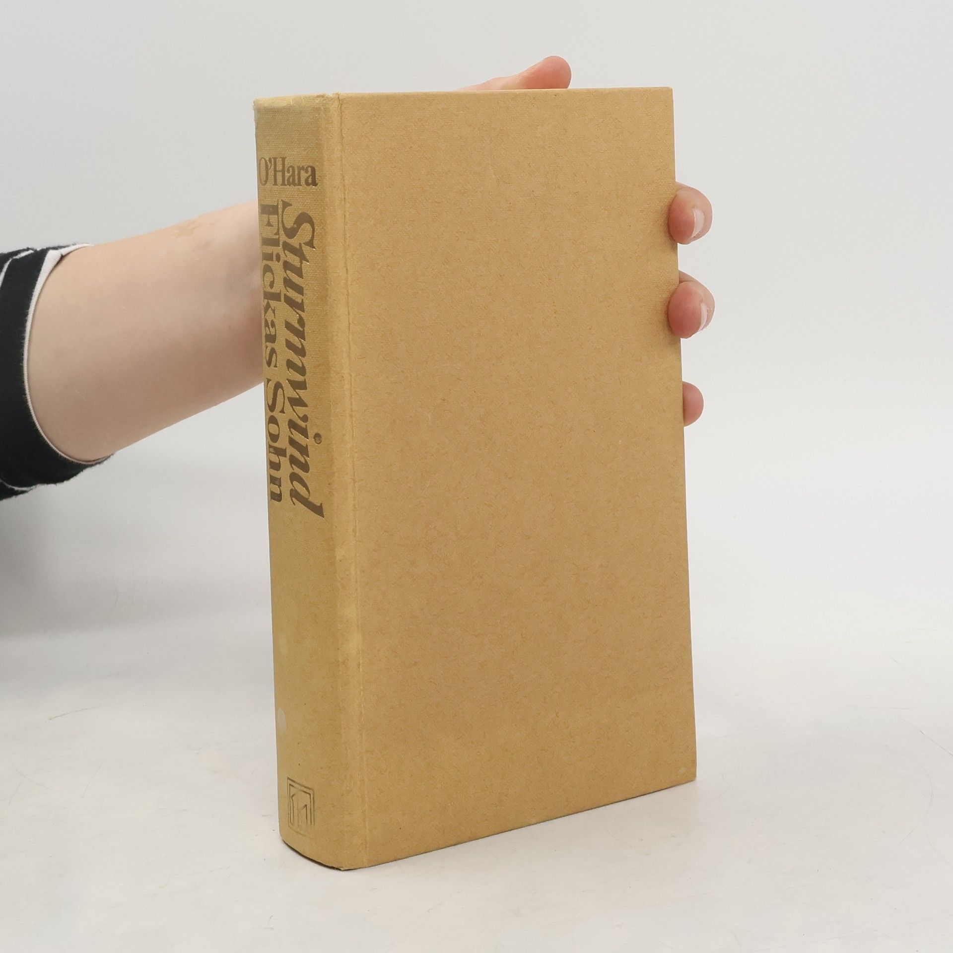 Sturmwind – Flicka's Sohn