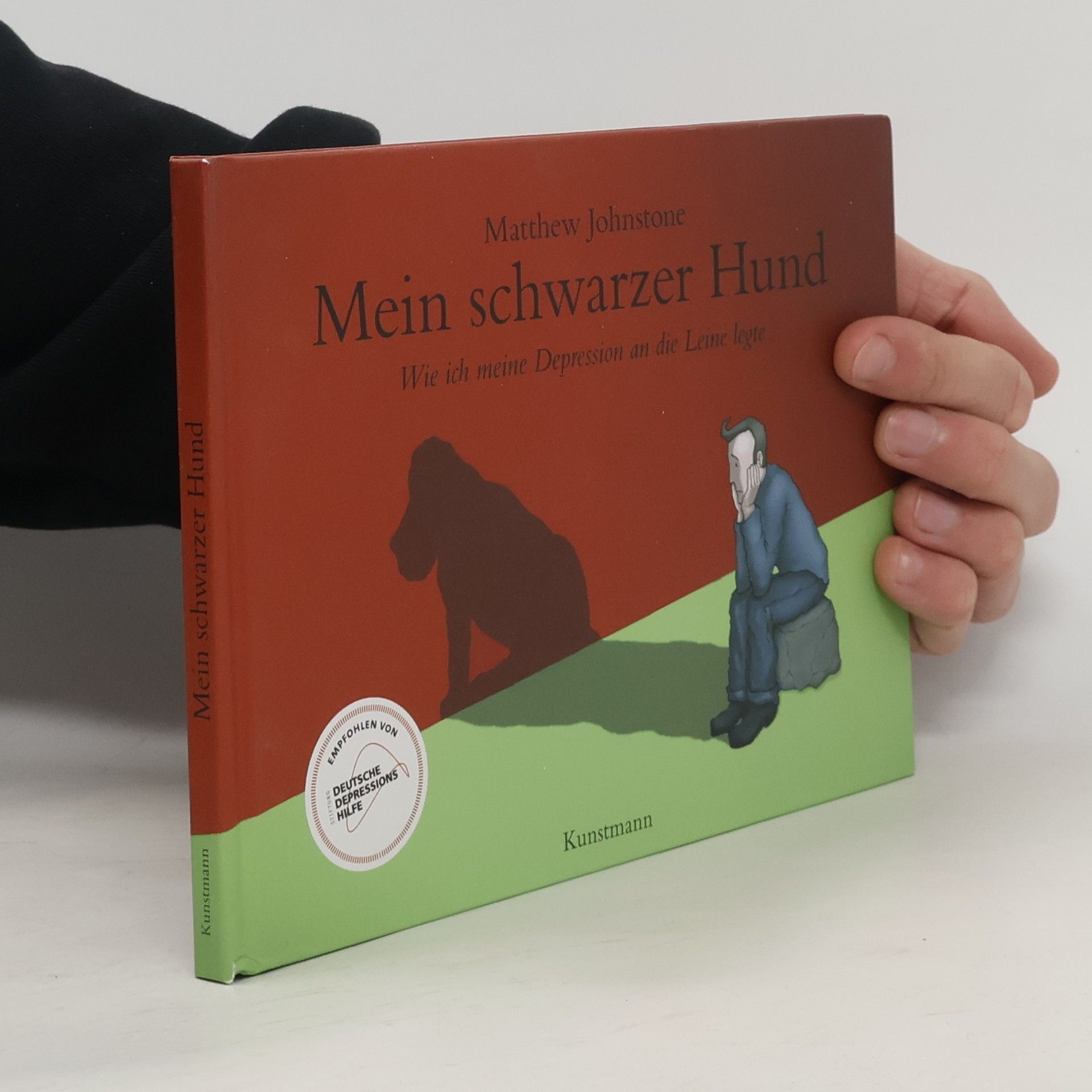 Matthew Johnstone Mein schwarzer Hund