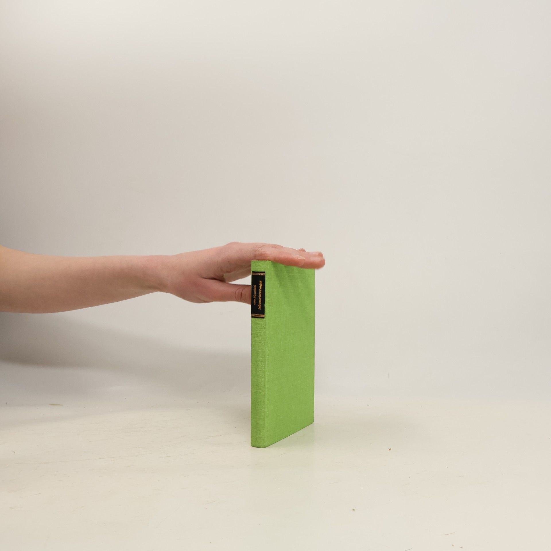 Johann Christian von Mannlich Lebenserinnerungen