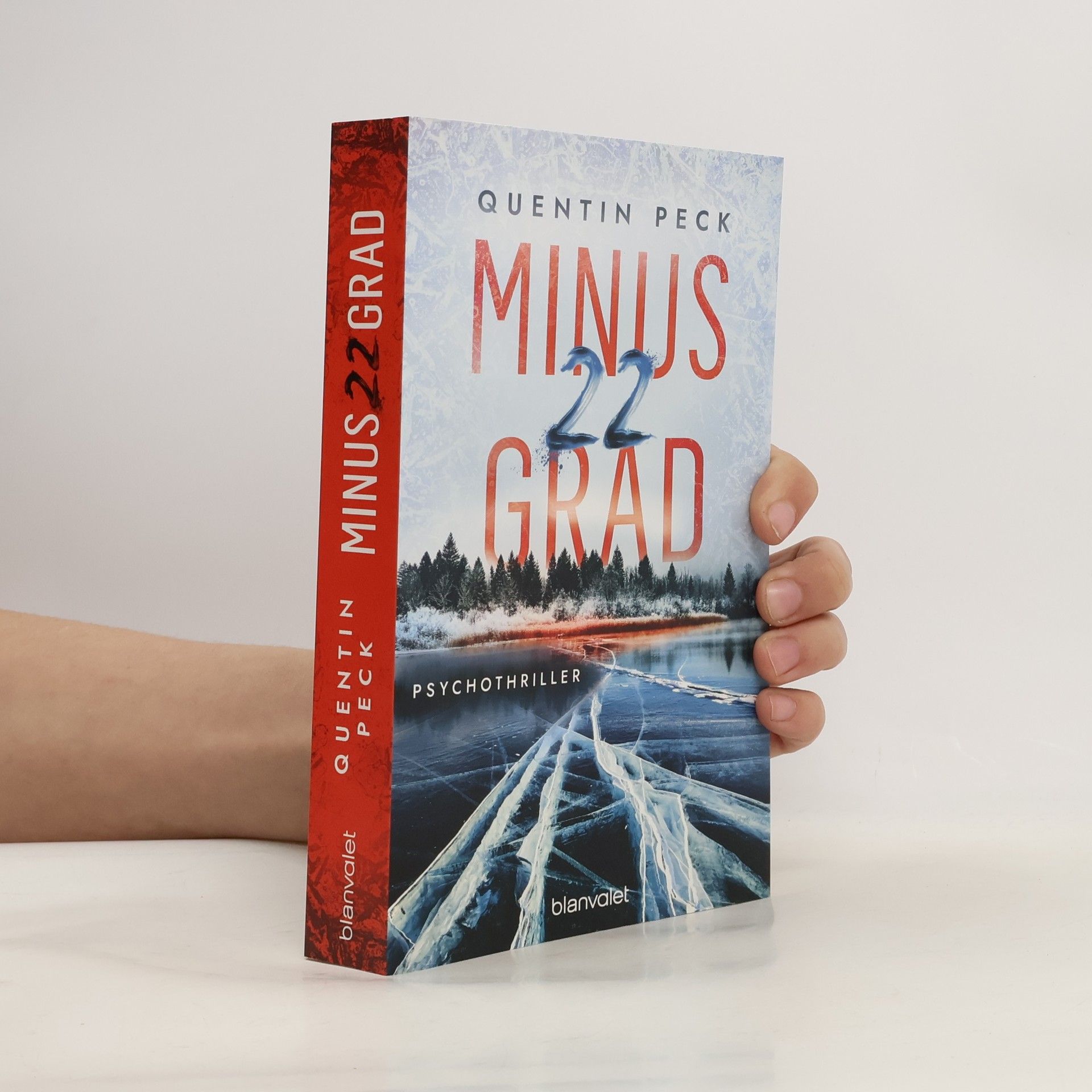 Quentin Peck Minus 22 Grad. Psychothriller