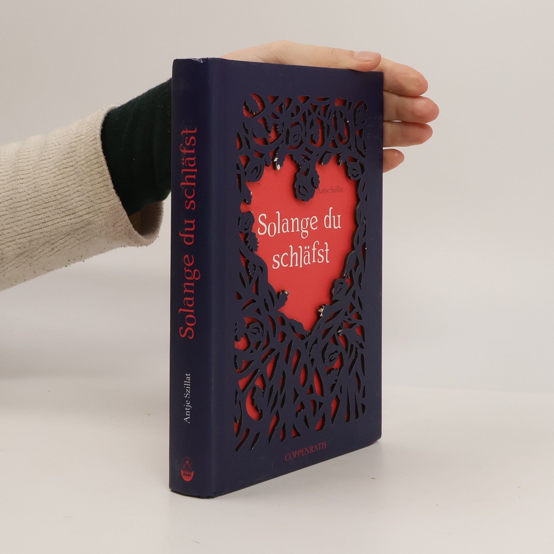 Antje Szillat Solange du schläfst