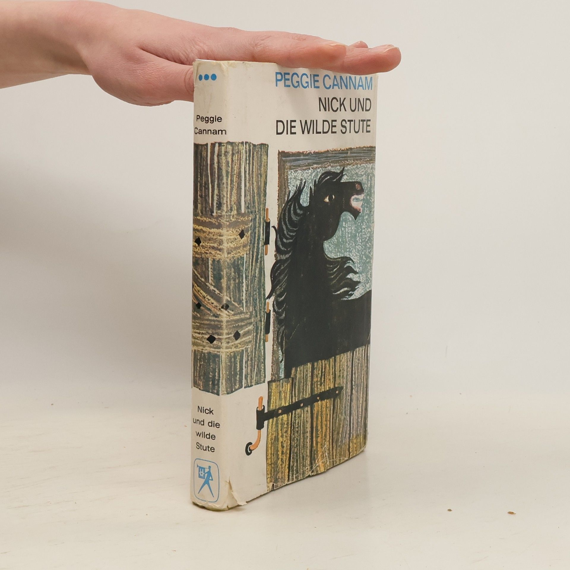 Peggie Cannam Nick und die Wilde Stute