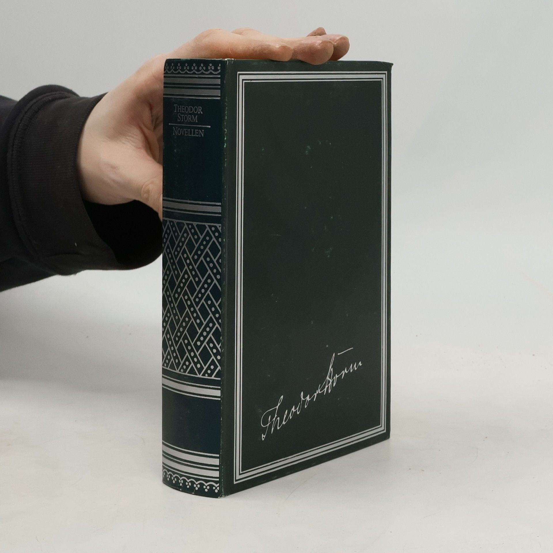 Theodor Storm Novellen