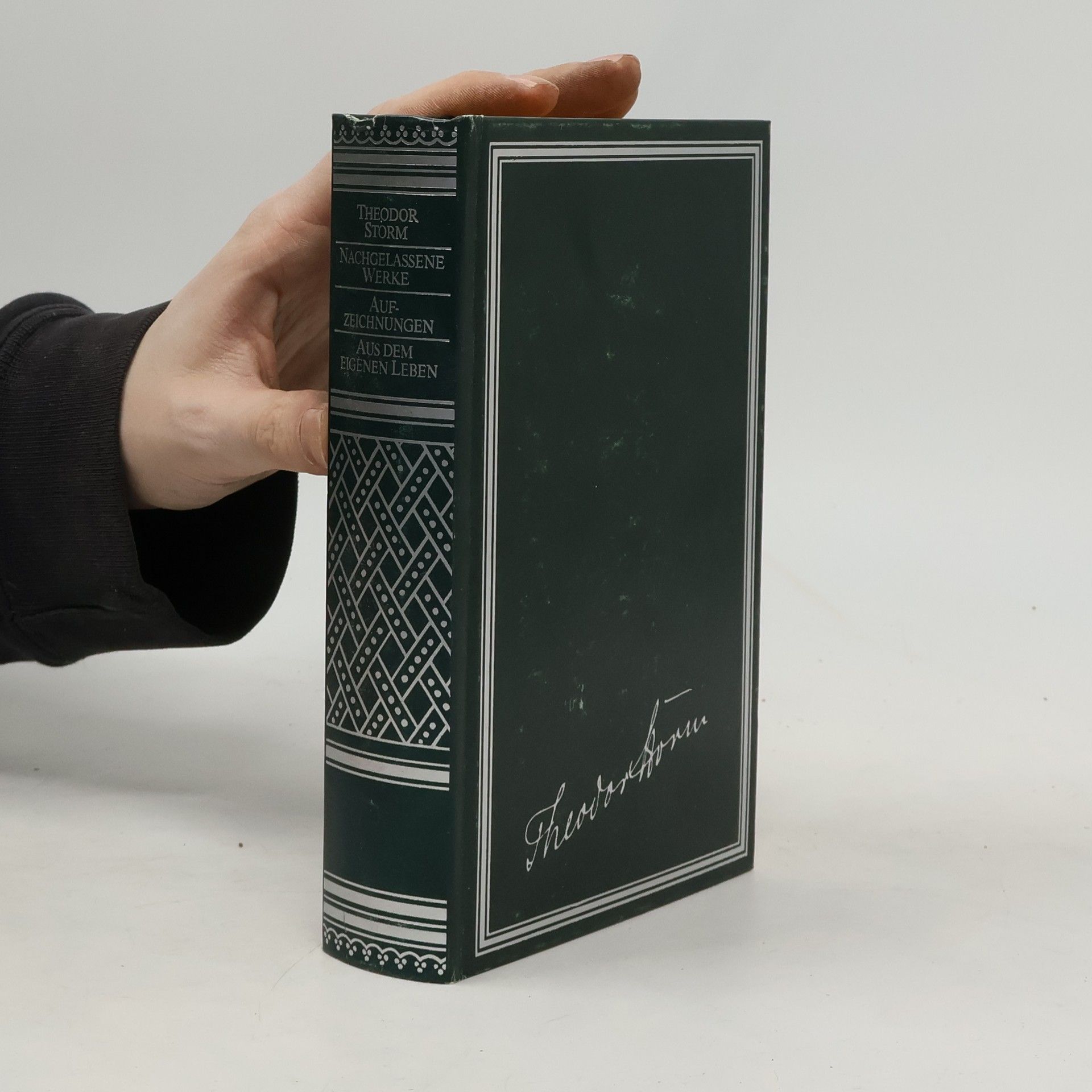 Theodor Storm Nachgelassene Werke. Aufzeichnungen. Aus dem eigenen Leben