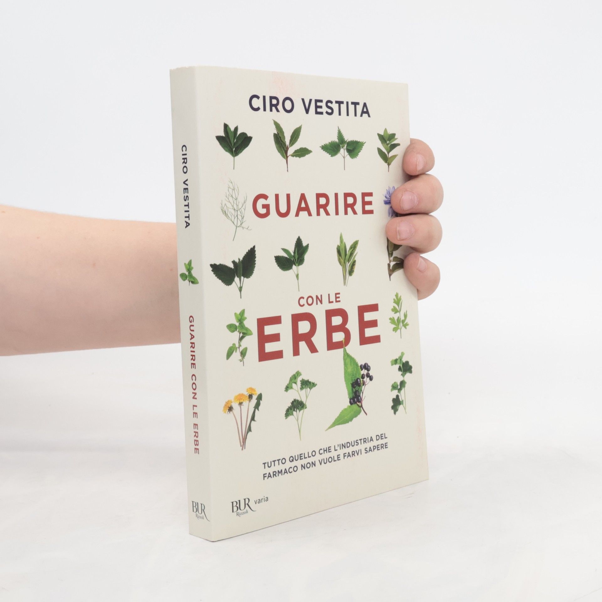 Ciro Vestita Guarire con le erbe. Tutto quello che l'industria del farmaco non vuole farvi sapere