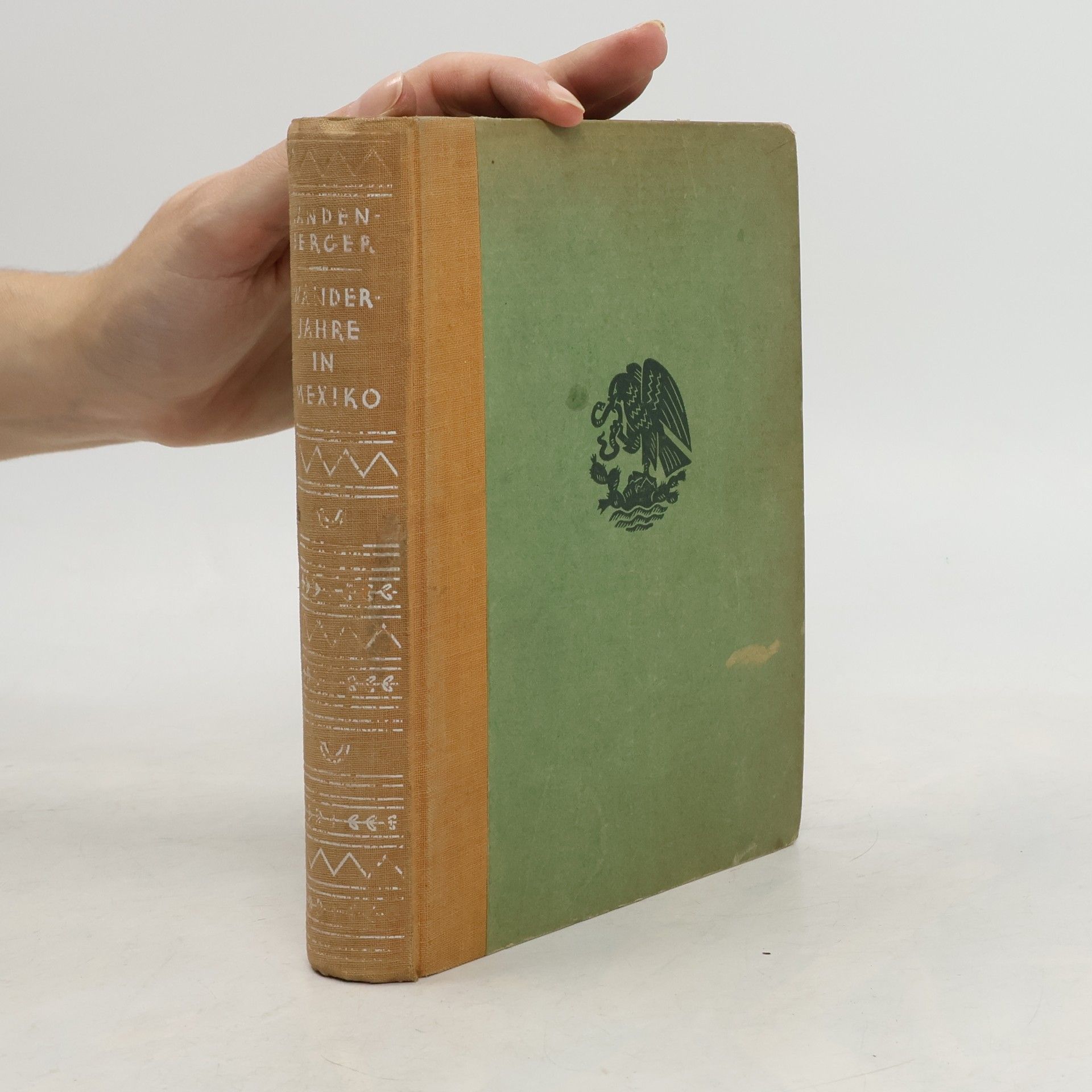 Emil Landenberger Wanderjahre in Mexiko