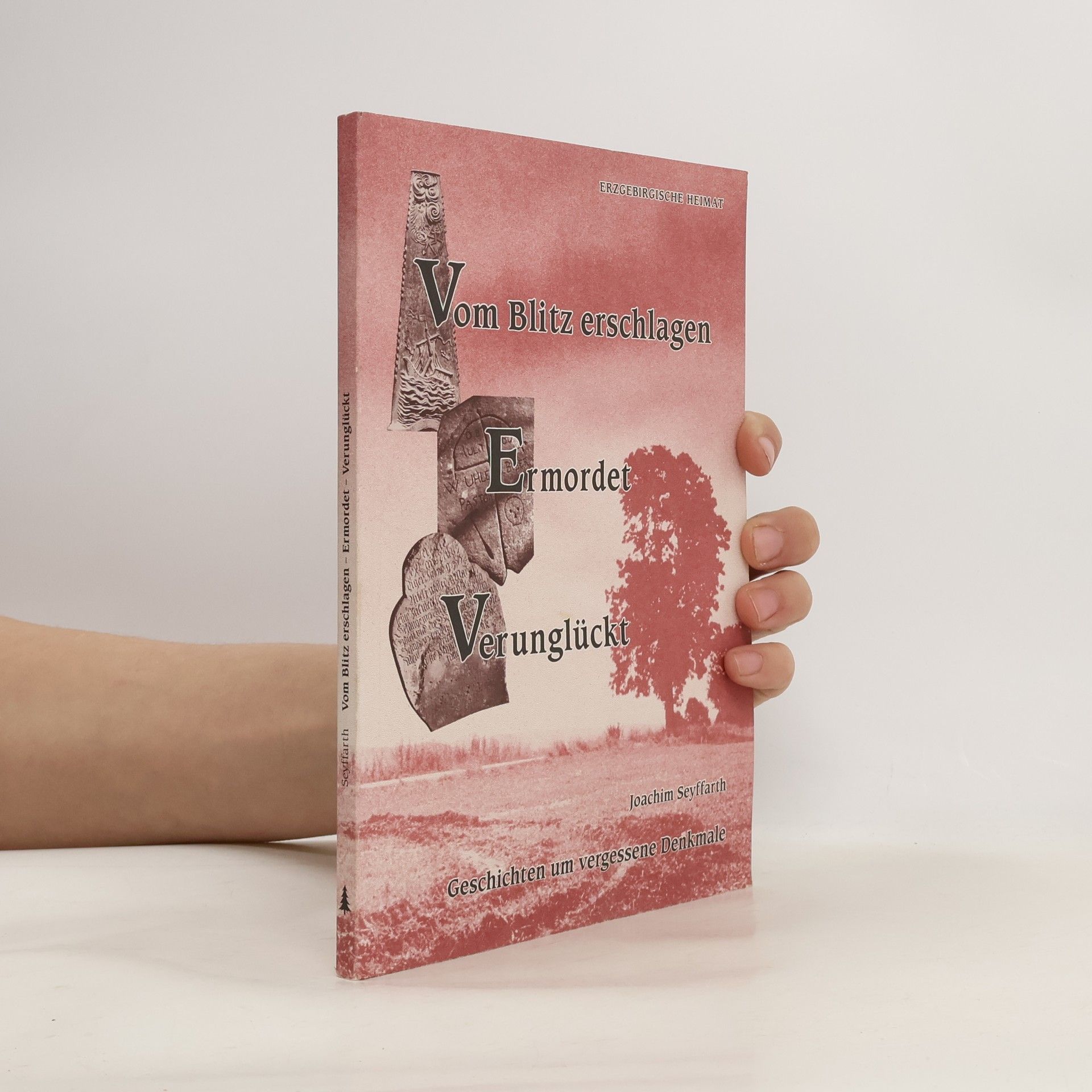 Joachim Seyffarth Vom Blitz erschlagen Ermordet Verunglückt