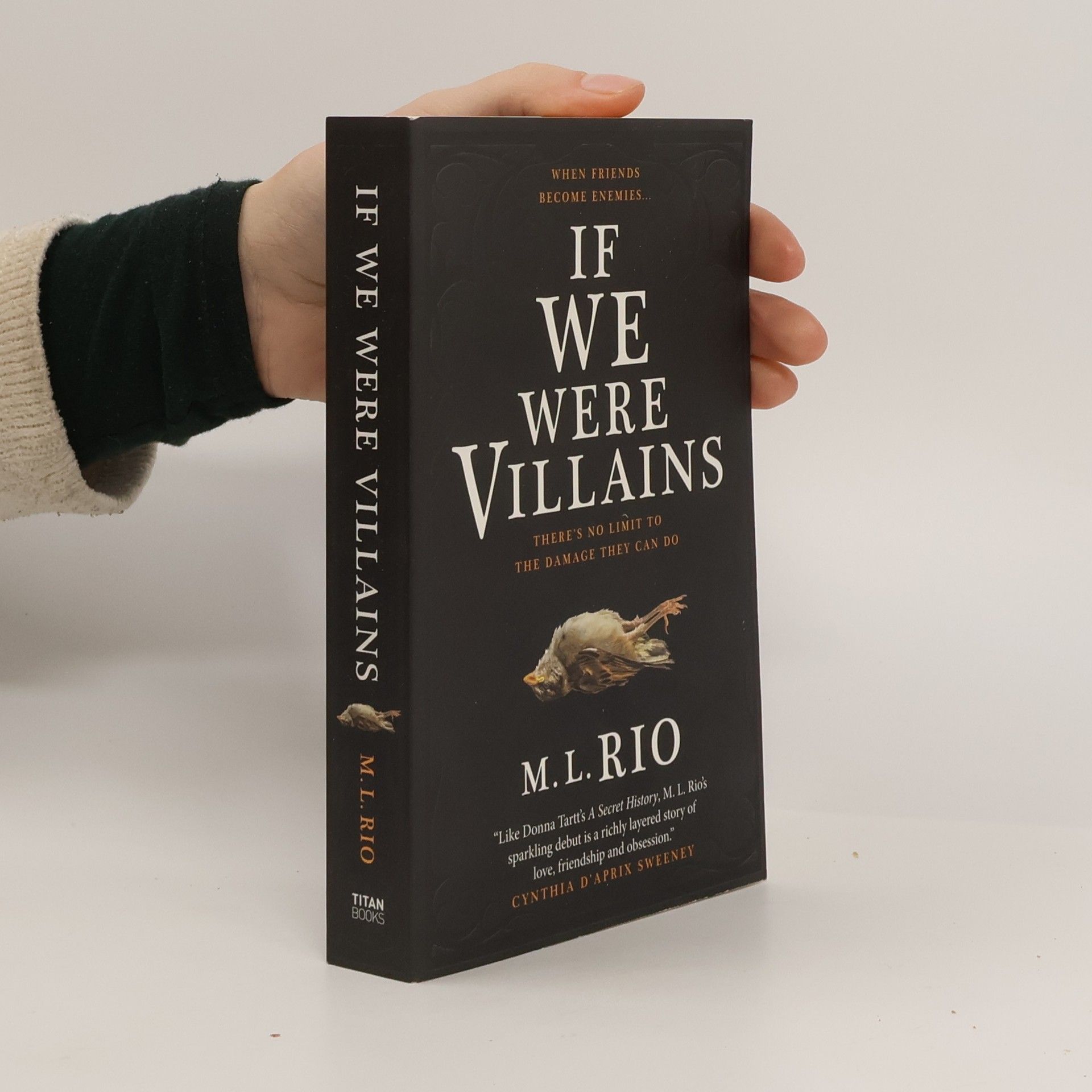 M. L. Rio If We Were Villains