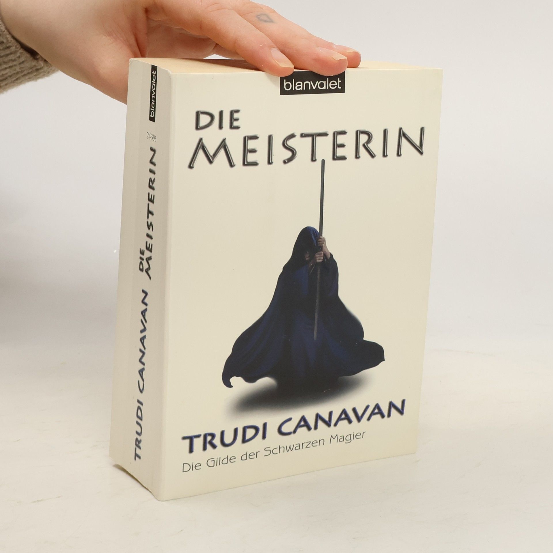Trudi Canavan Die Meisterin
