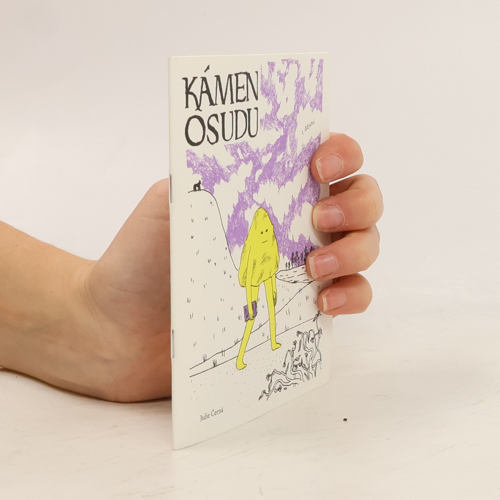 Julie Černá Kámen osudu