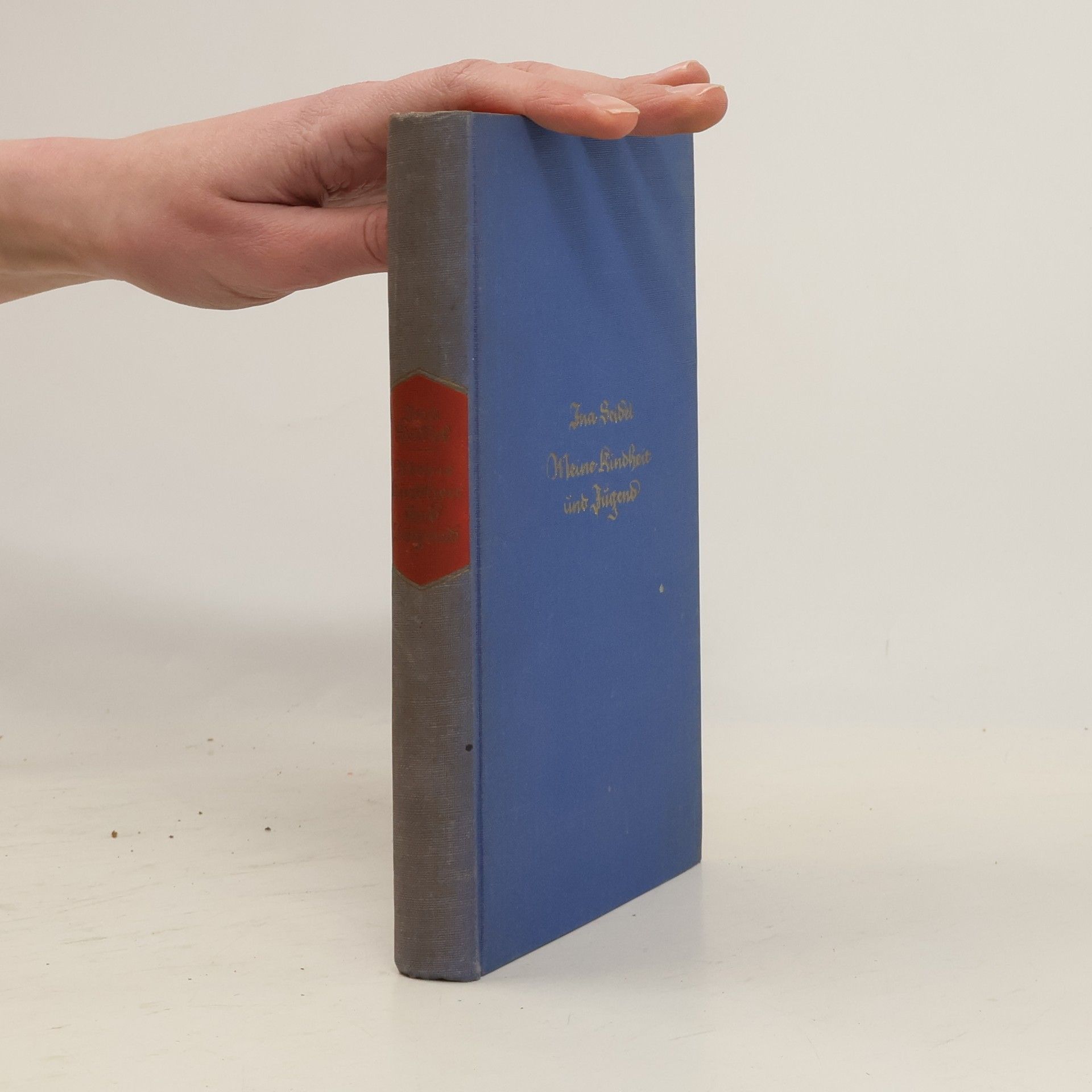 Ina Seidel Meine Kindheit und Jugend