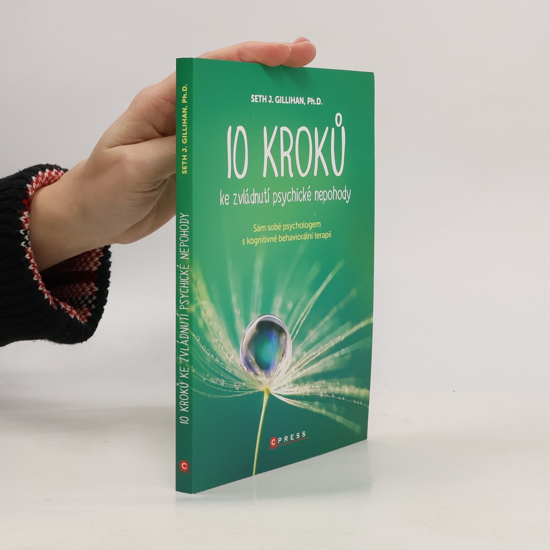 Seth Gillihan 10 kroků ke zvládnutí psychické nepohody: Sám sobě psychologem s kognitivně behaviorální terapií