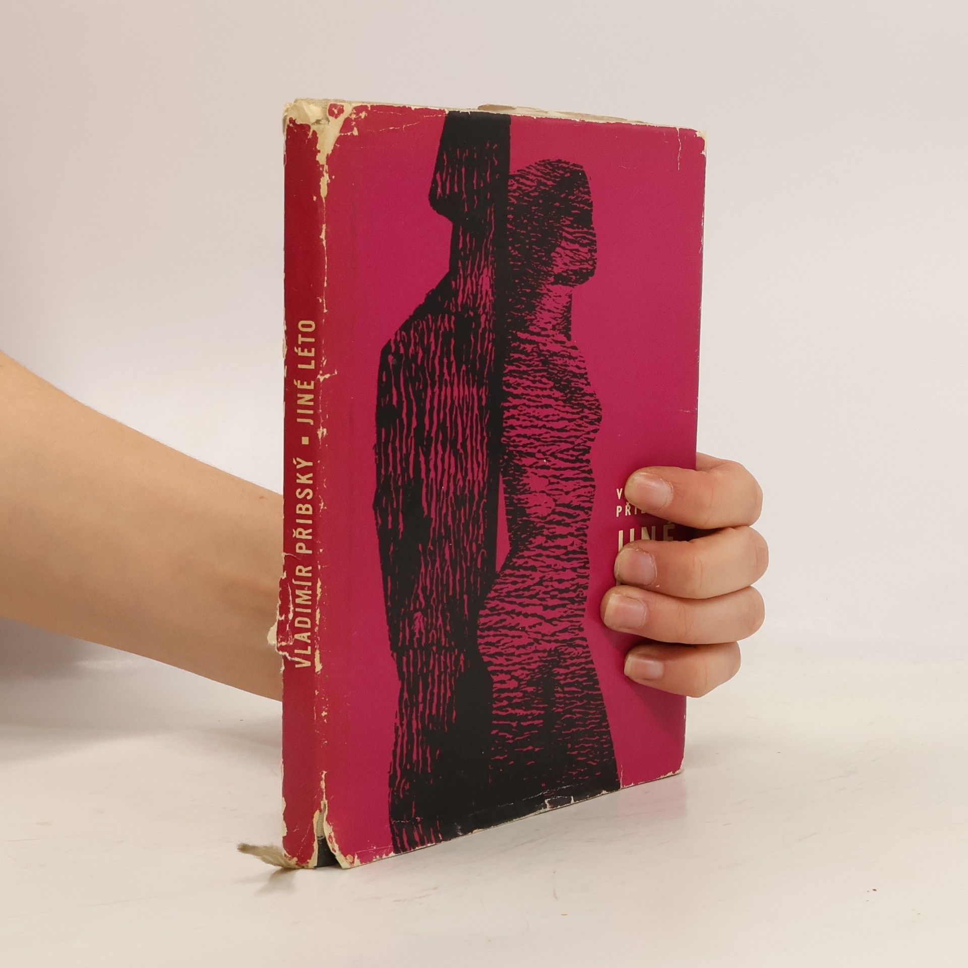 Vladimír Přibský Jiné Léto