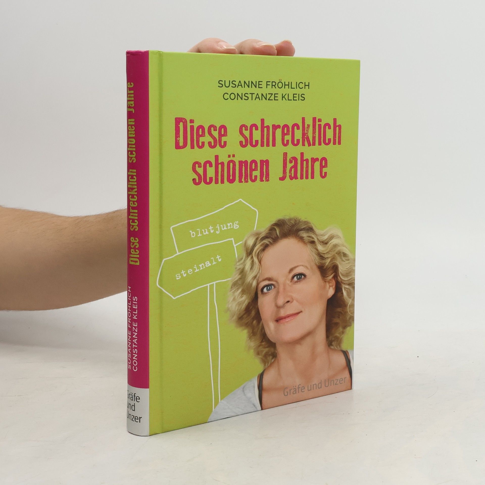 Susanne Fröhlich Diese schrecklich schönen Jahre