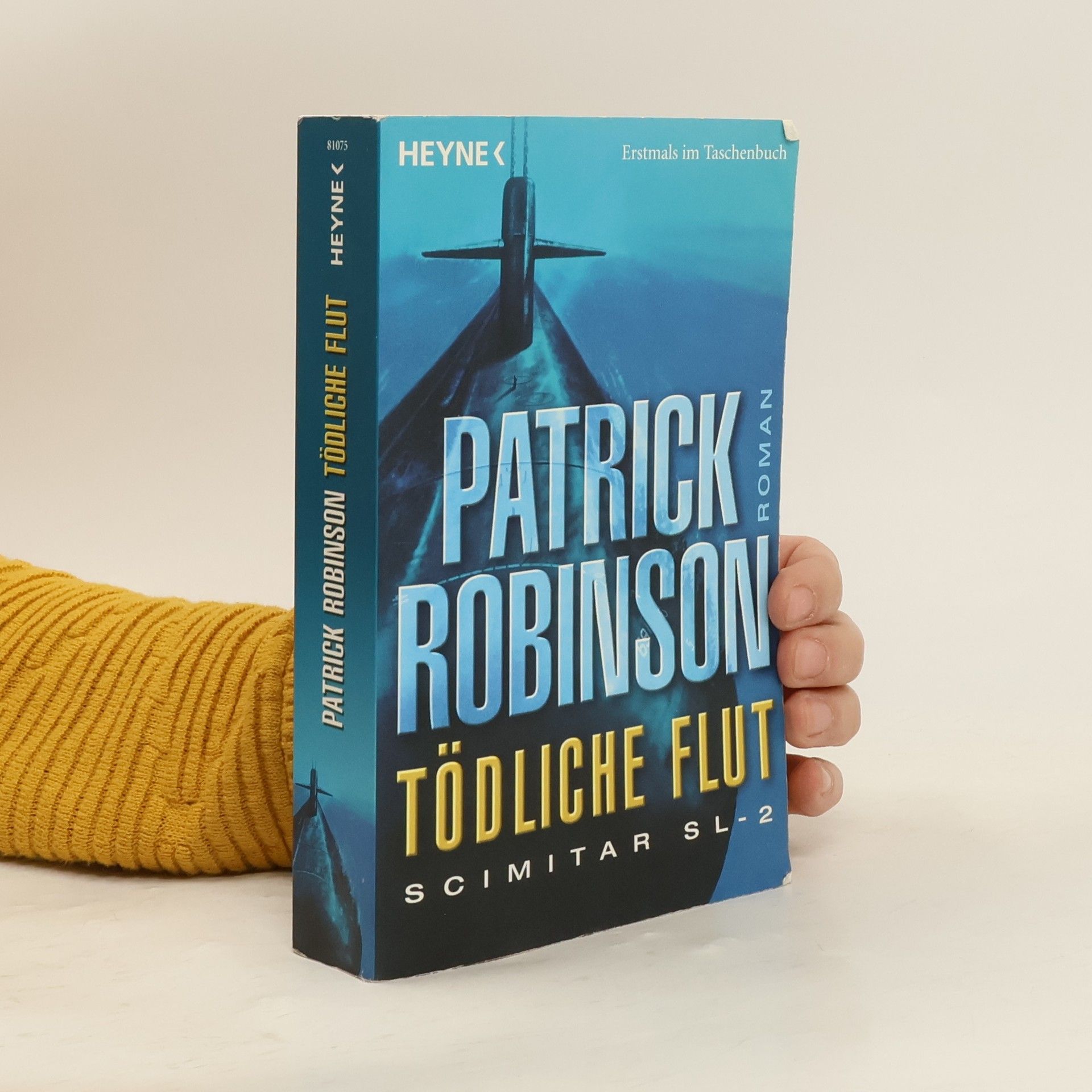 Patrick Robinson Tödliche Flut