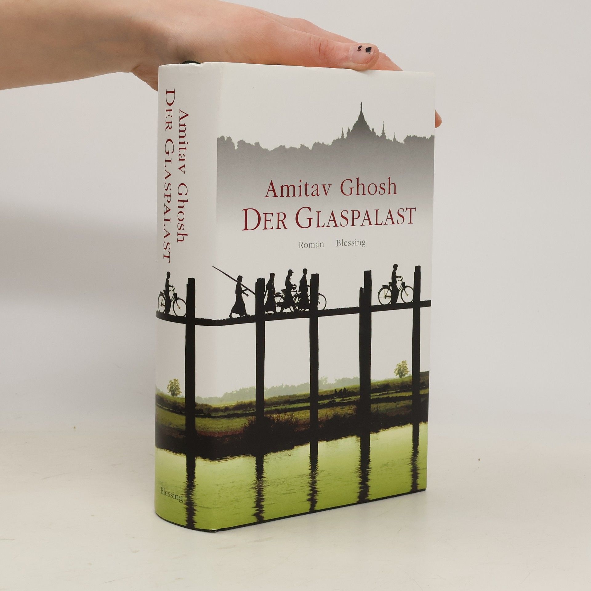 Amitav Ghosh Der Glaspalast