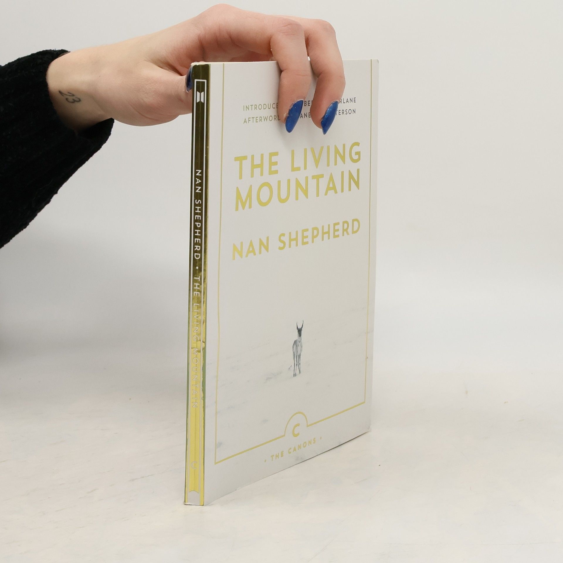 Nan Shepherd The Living Mountain