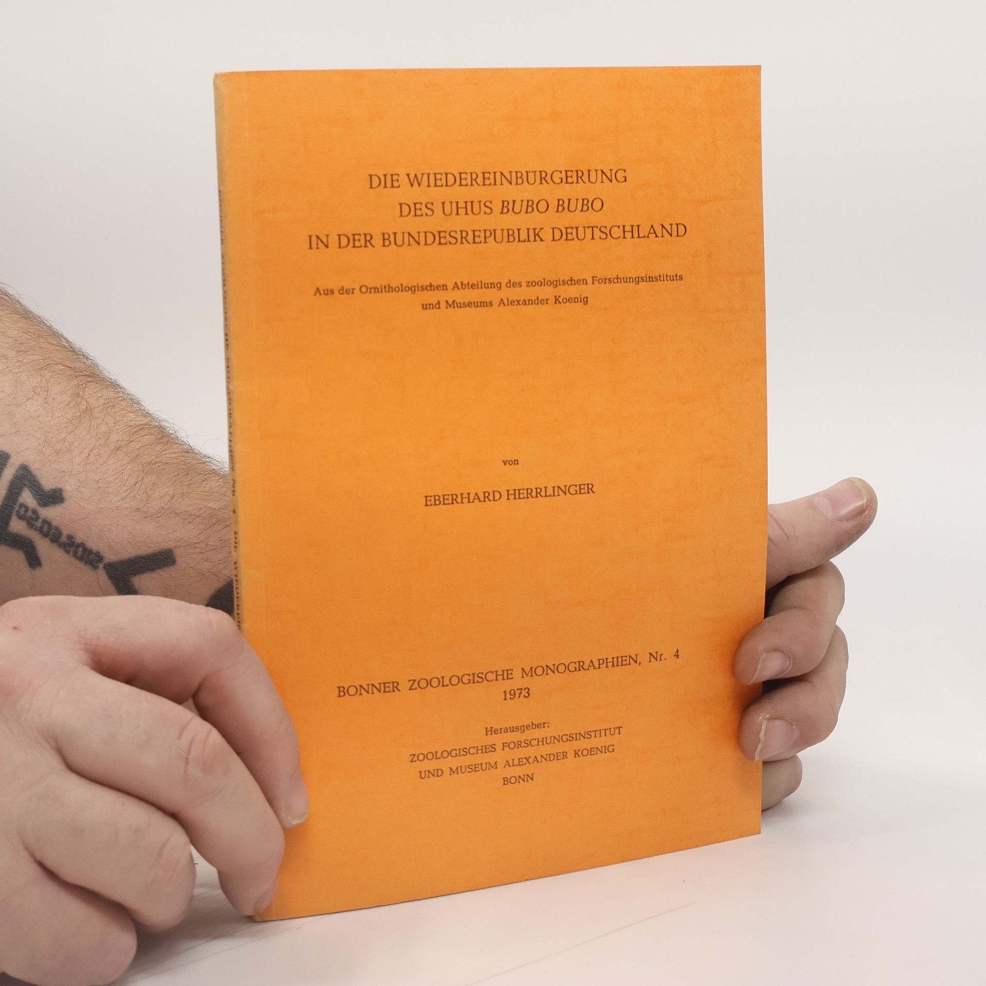 Eberhard Herrlinger Die Wiedereinbürgerung des Uhus Bubo bubo in der Bundesrepublik Deutschland