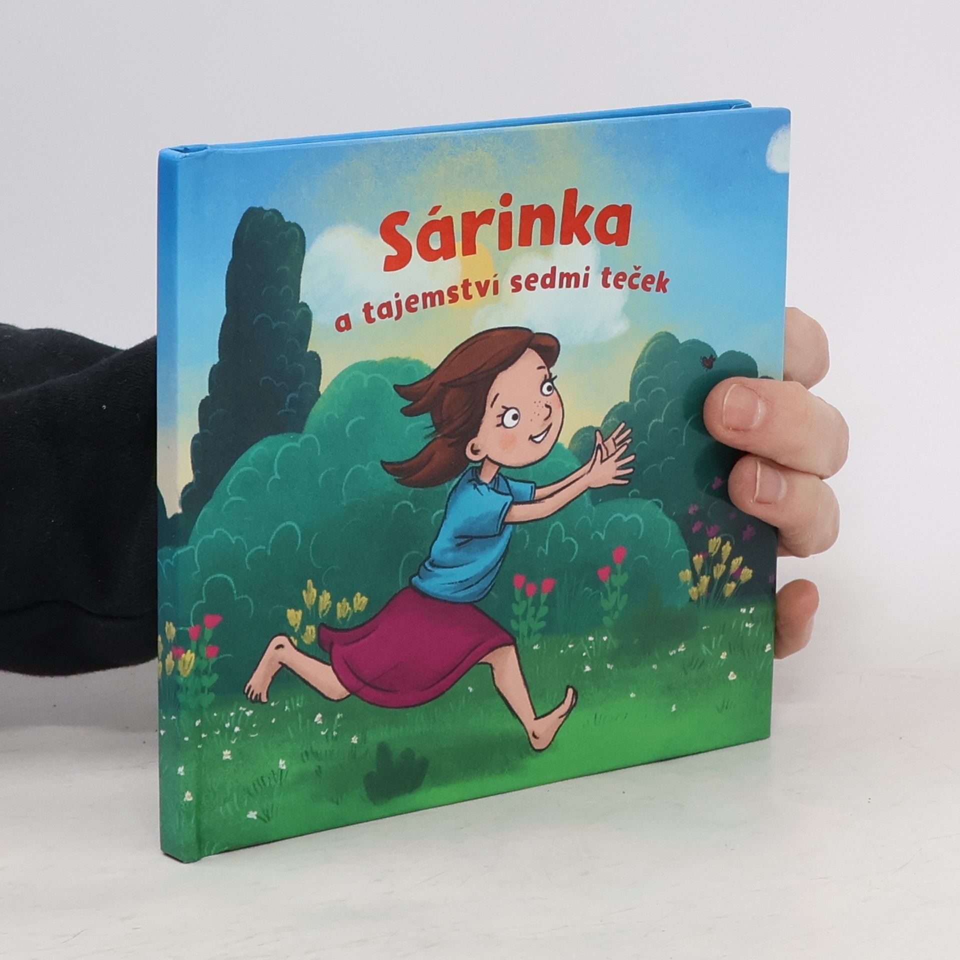 Collectif d'auteurs Sárinka a tajemství sedmi teček