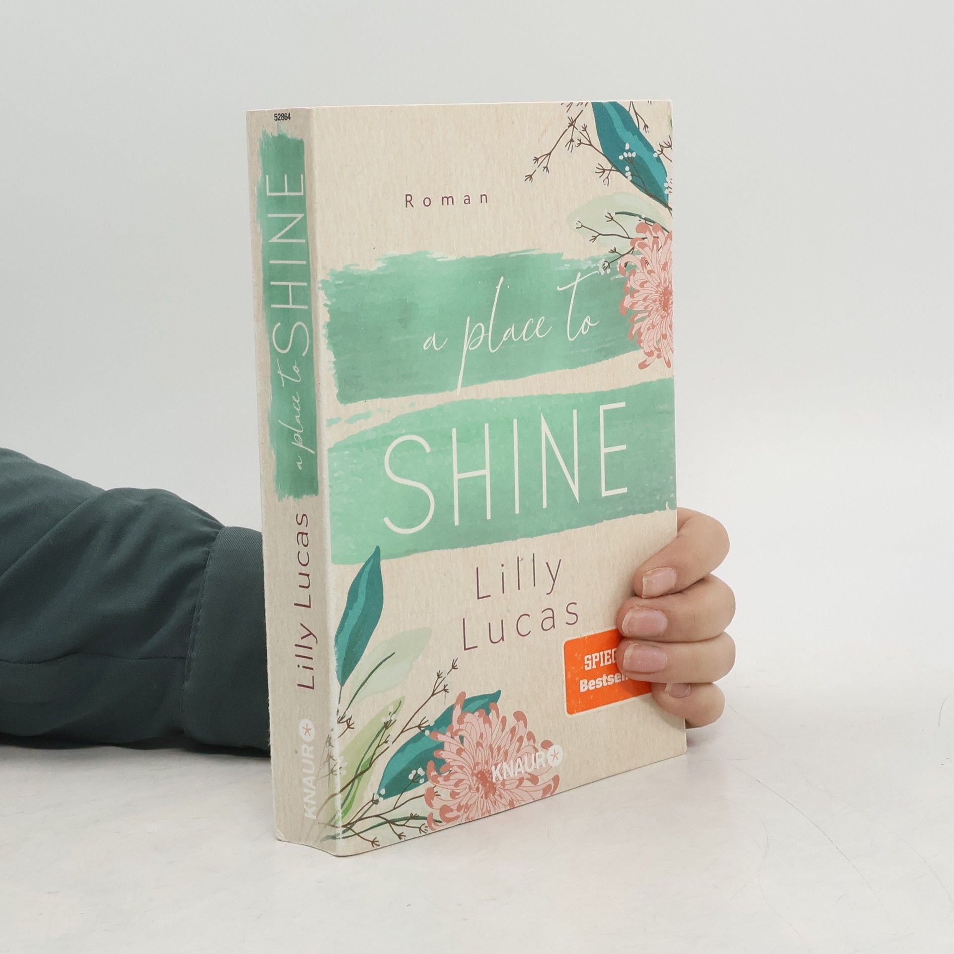 Lilly Lucas A Place to Shine