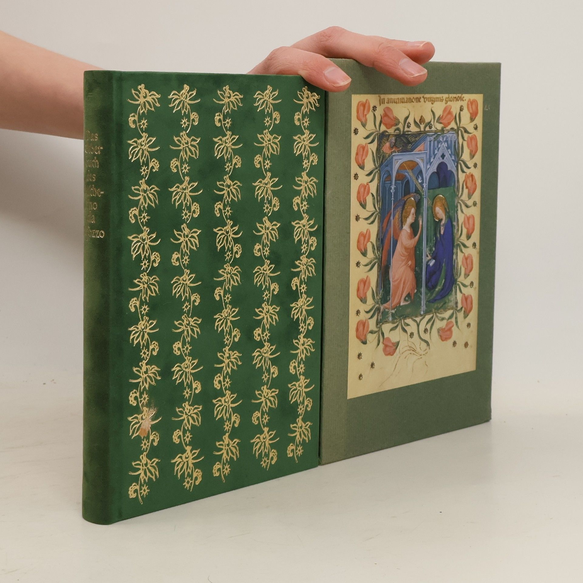 Autorenkollektiv Das Gebetbuch des Michelino da Besozzo