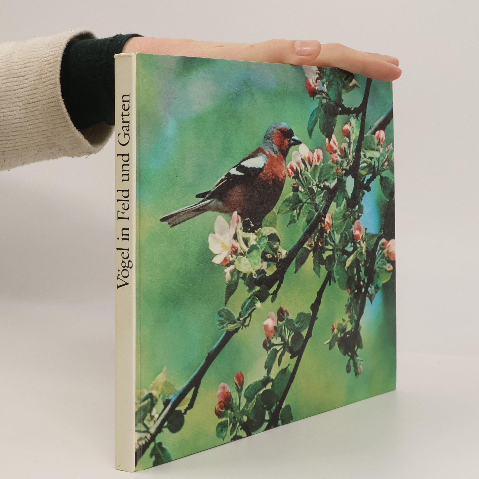 Klaus Paysan Vögel in Feld und Garten