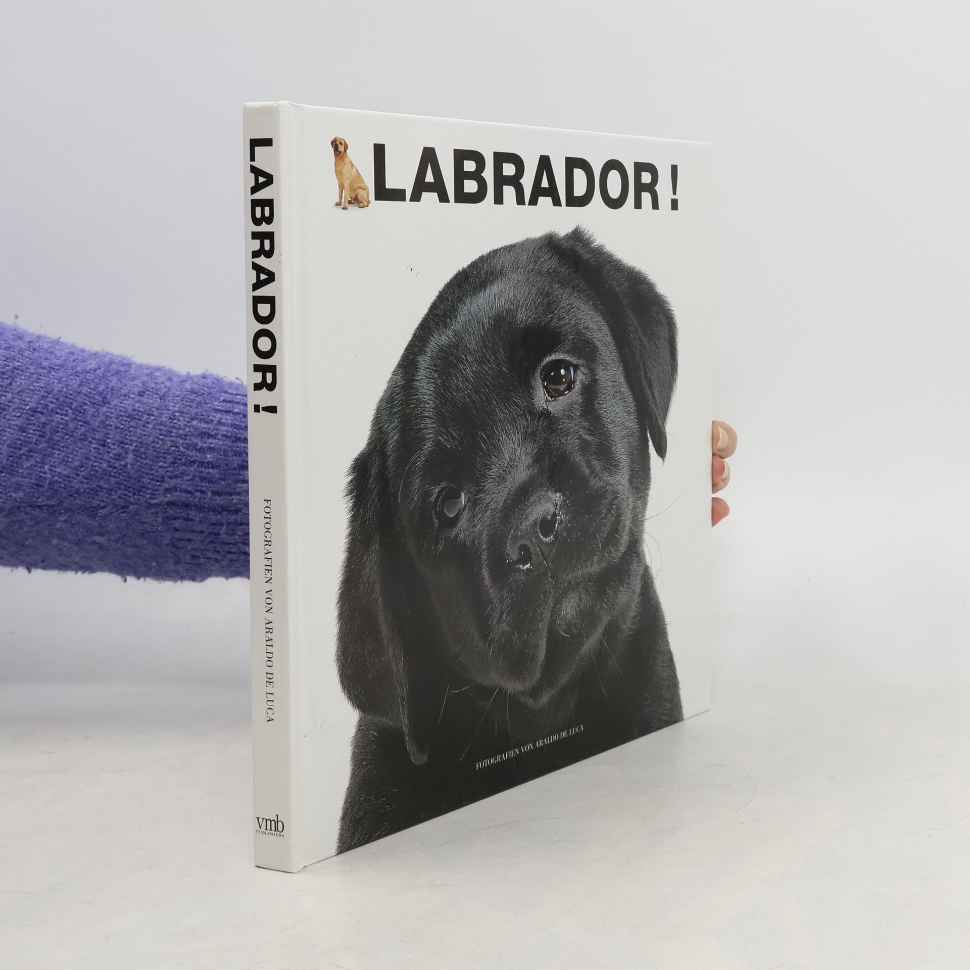 Araldo De Luca Labrador!